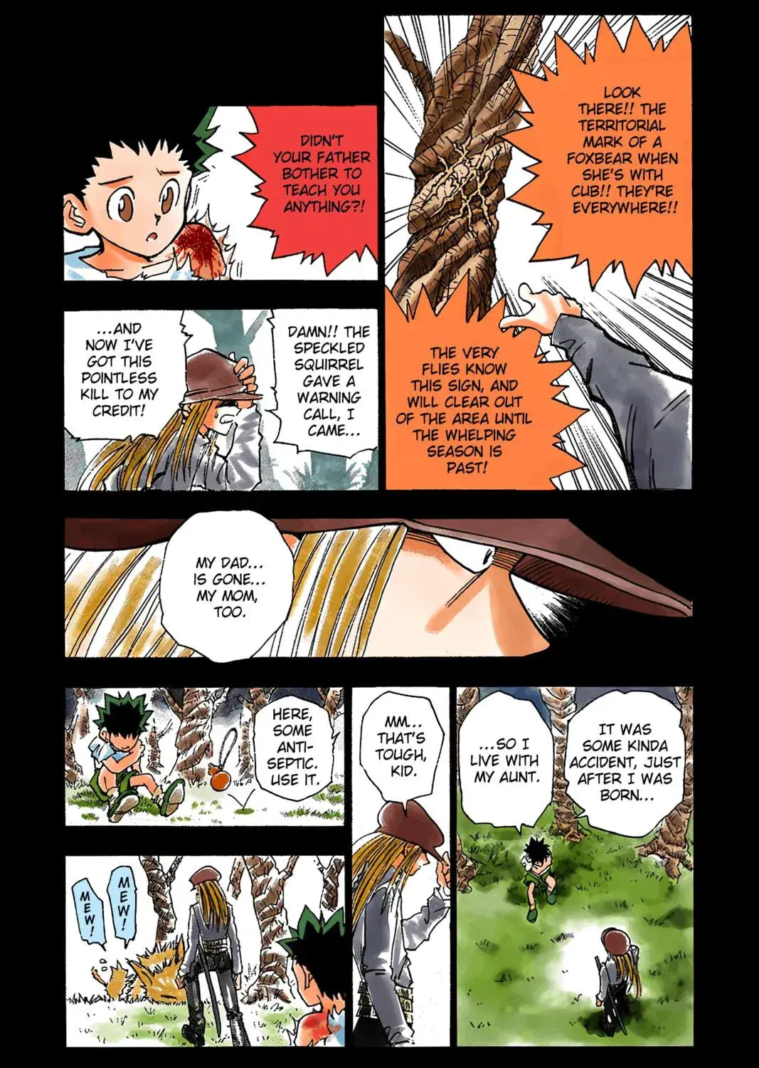 Hunter x Hunter Colored Manga, chapter 1, page 35