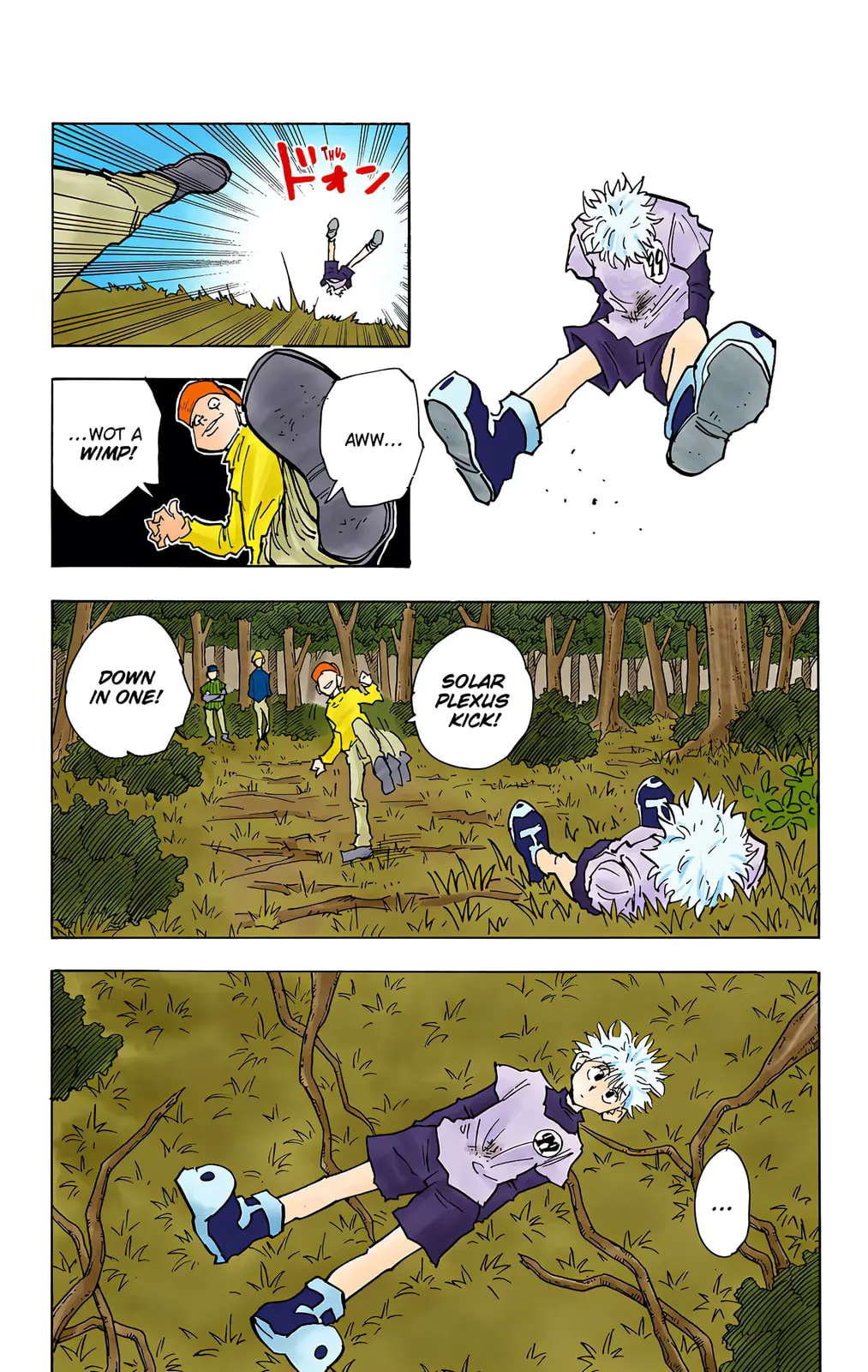 Hunter x Hunter Colored Manga, chapter 29, page 8