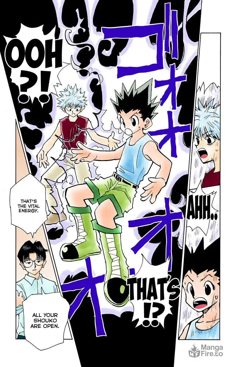 Hunter x Hunter Colored Manga, chapter 48, page 10