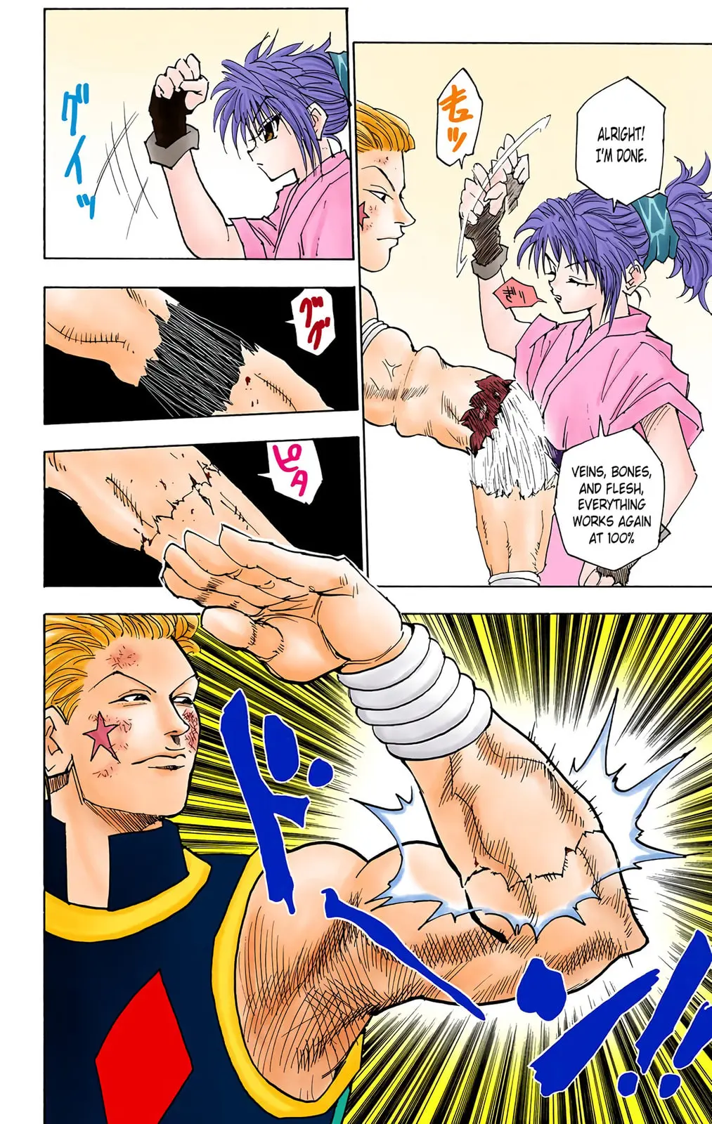 Hunter x Hunter Colored Manga, chapter 55, page 10