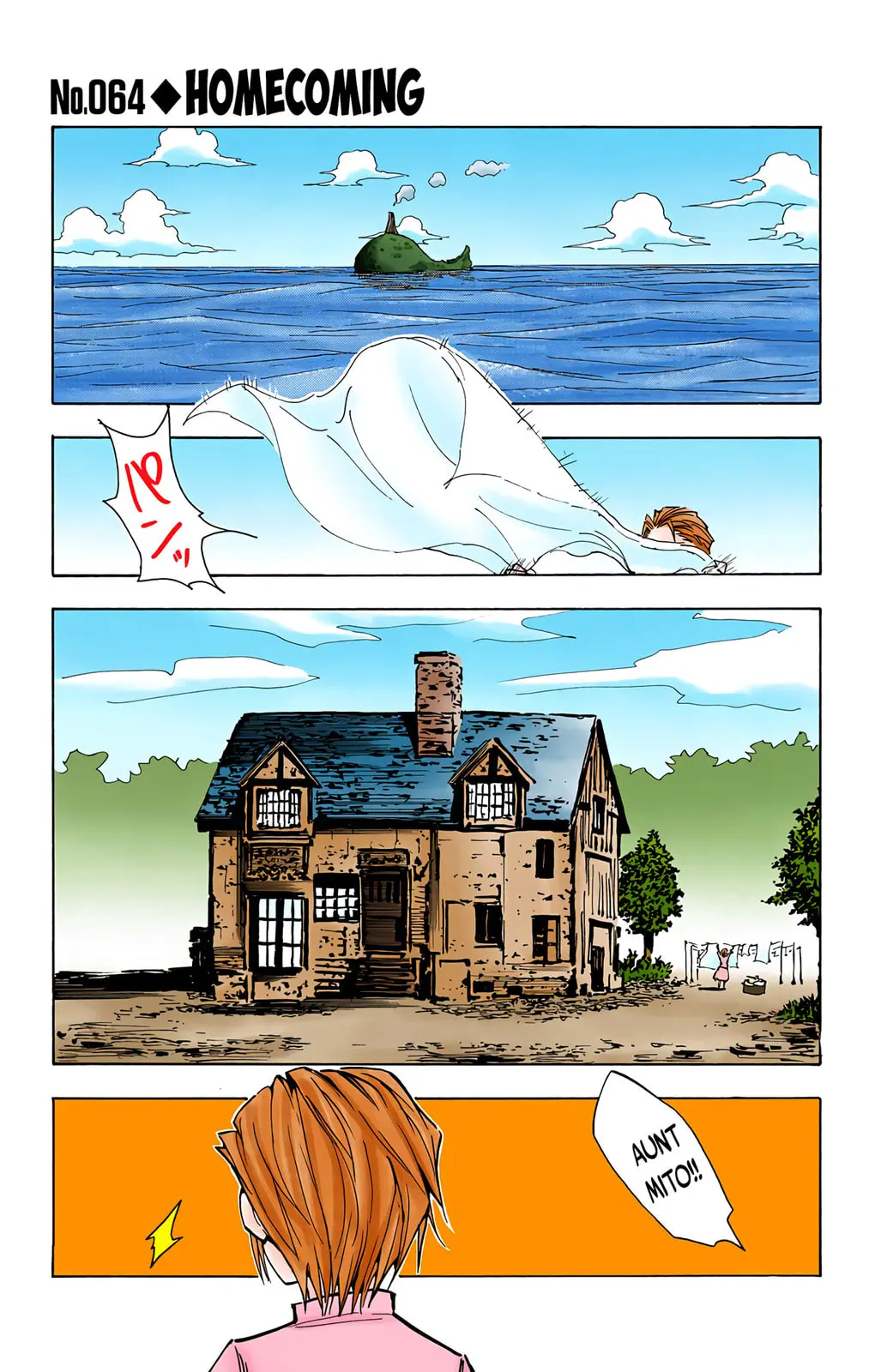 Hunter x Hunter Colored Manga, chapter 64, page 6