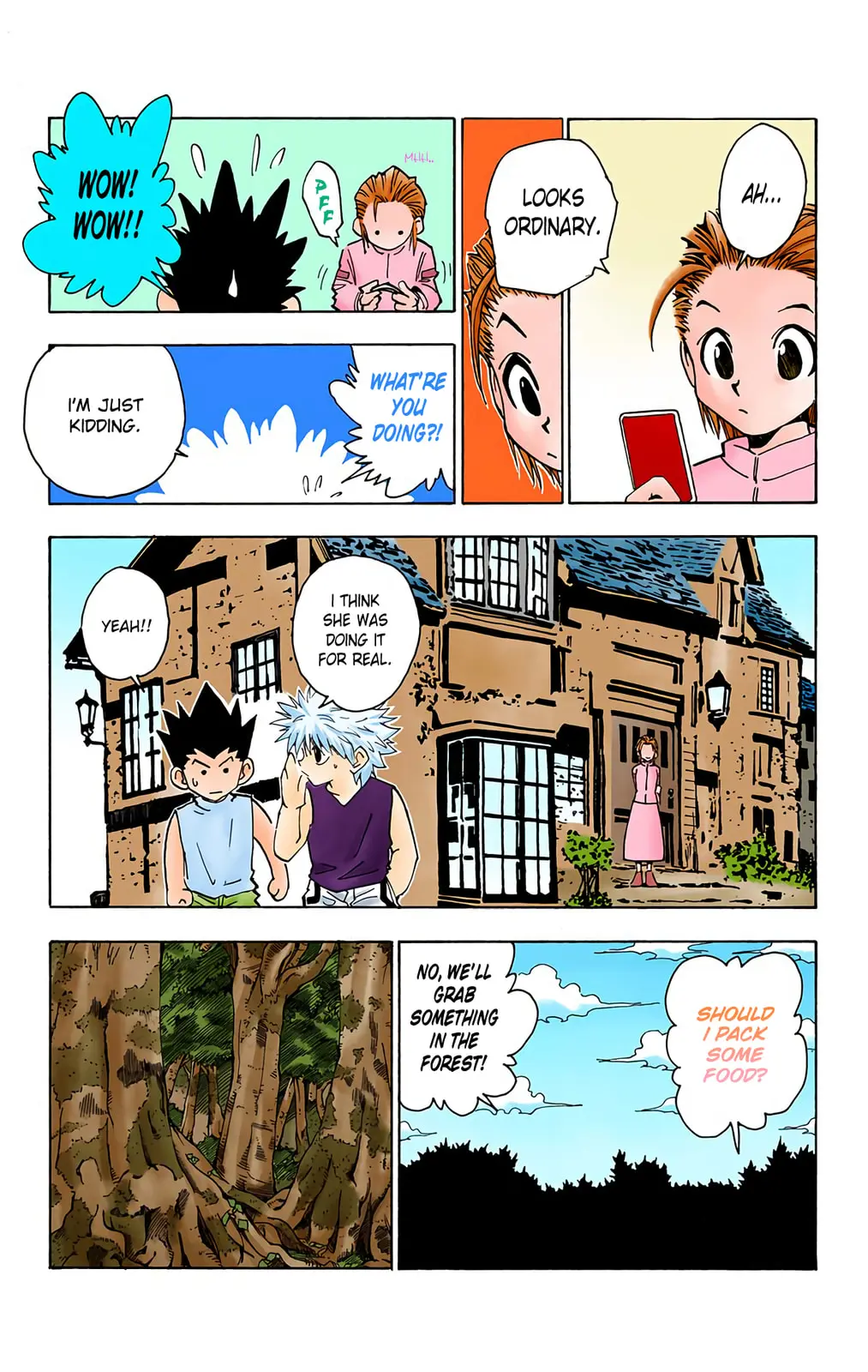 Hunter x Hunter Colored Manga, chapter 64, page 8