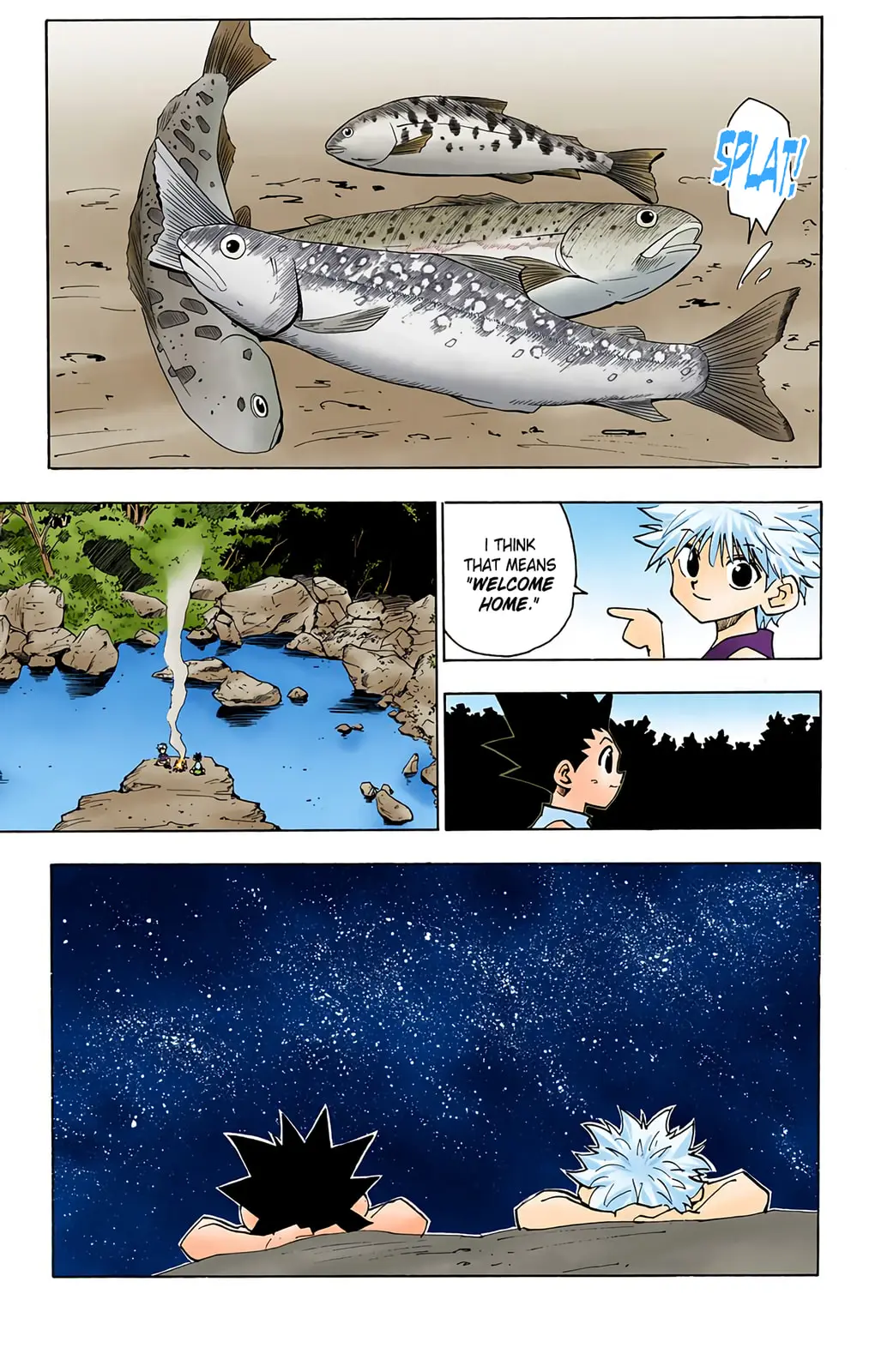 Hunter x Hunter Colored Manga, chapter 64, page 10