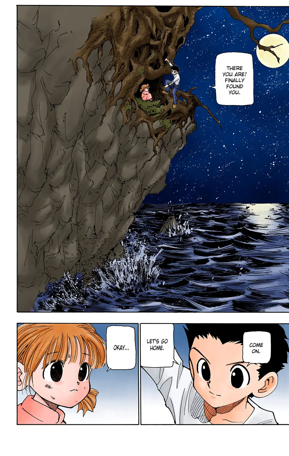 Hunter x Hunter Colored Manga, chapter 65, page 10