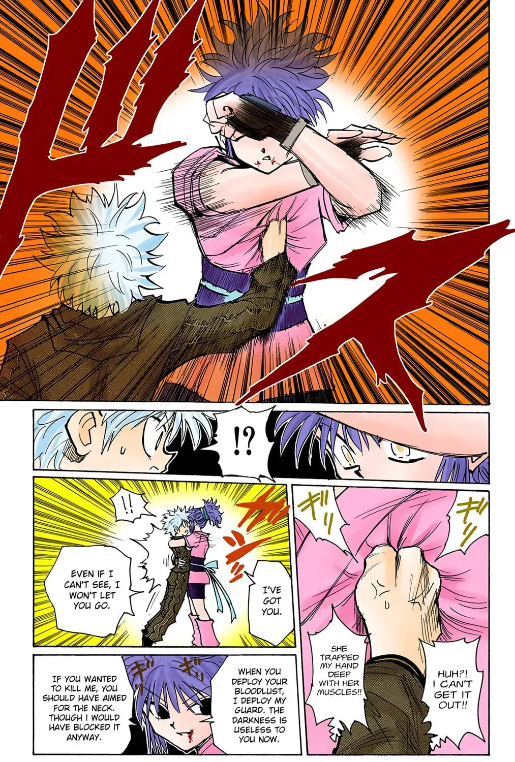 Hunter x Hunter Colored Manga, chapter 113, page 25
