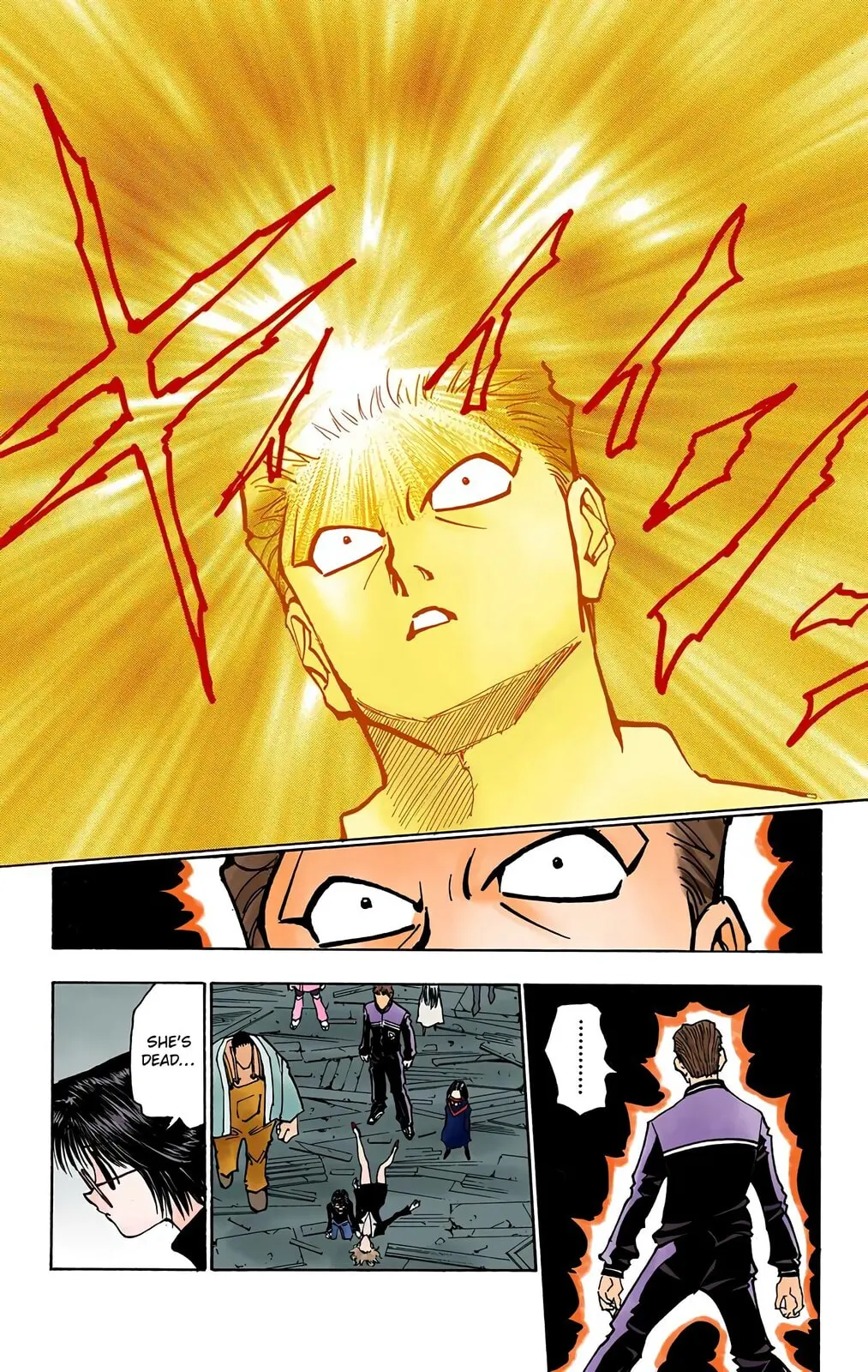 Hunter x Hunter Colored Manga, chapter 119, page 13