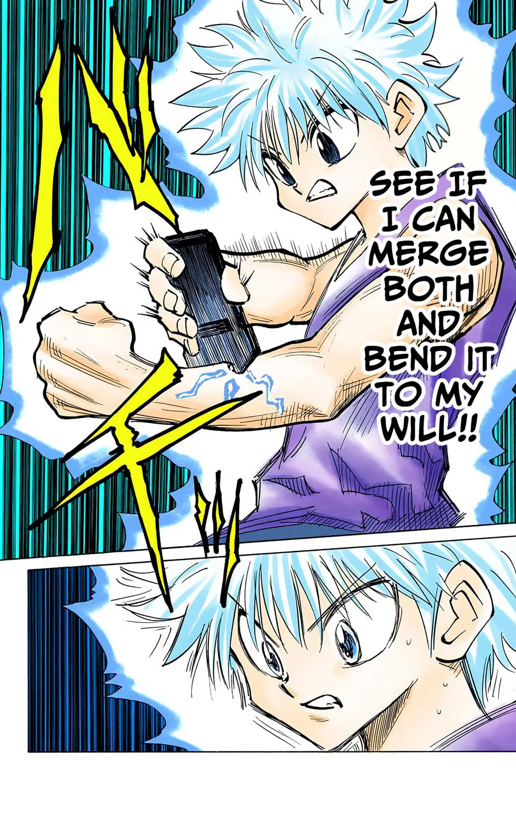 Hunter x Hunter Colored Manga, chapter 122, page 12