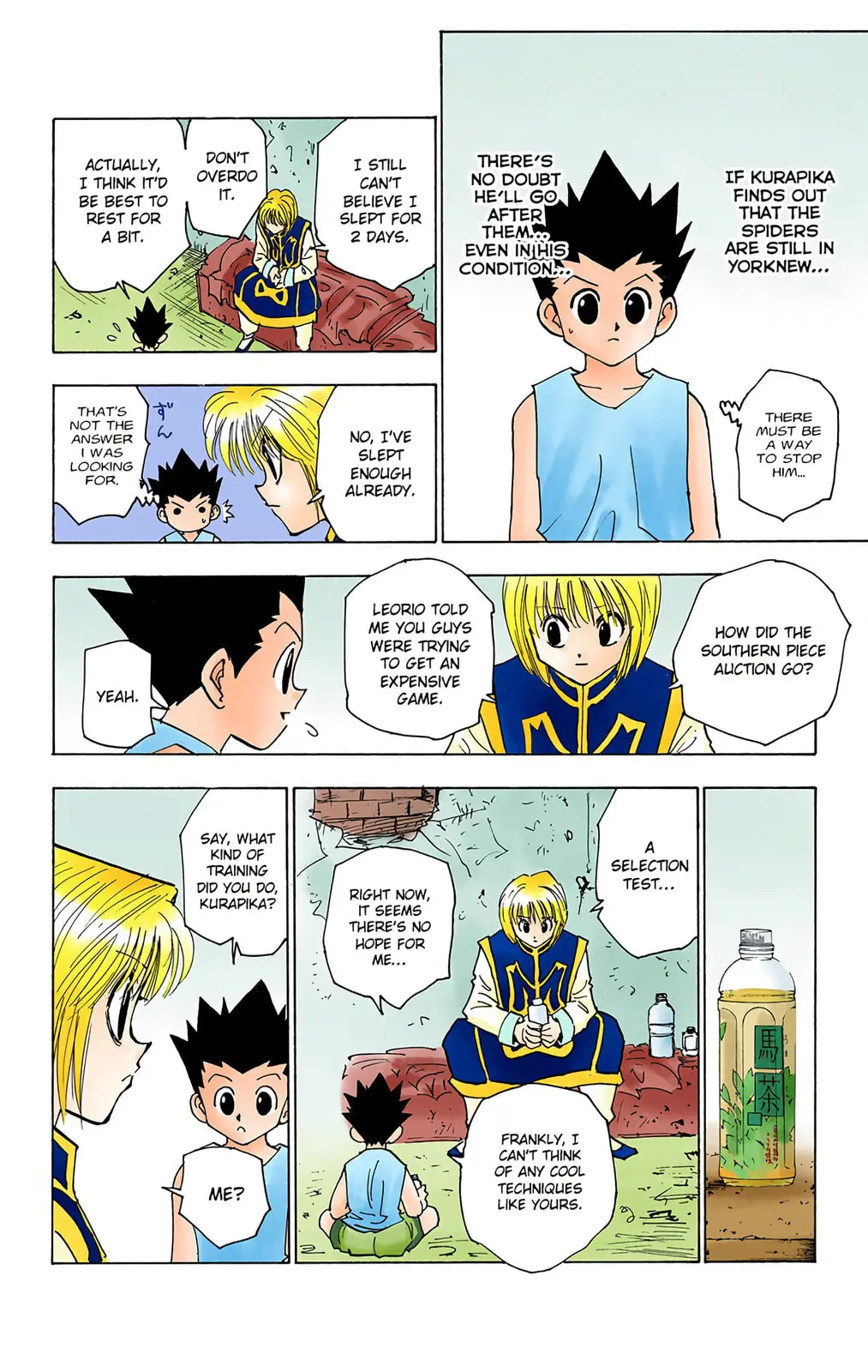 Hunter x Hunter Colored Manga, chapter 123, page 6