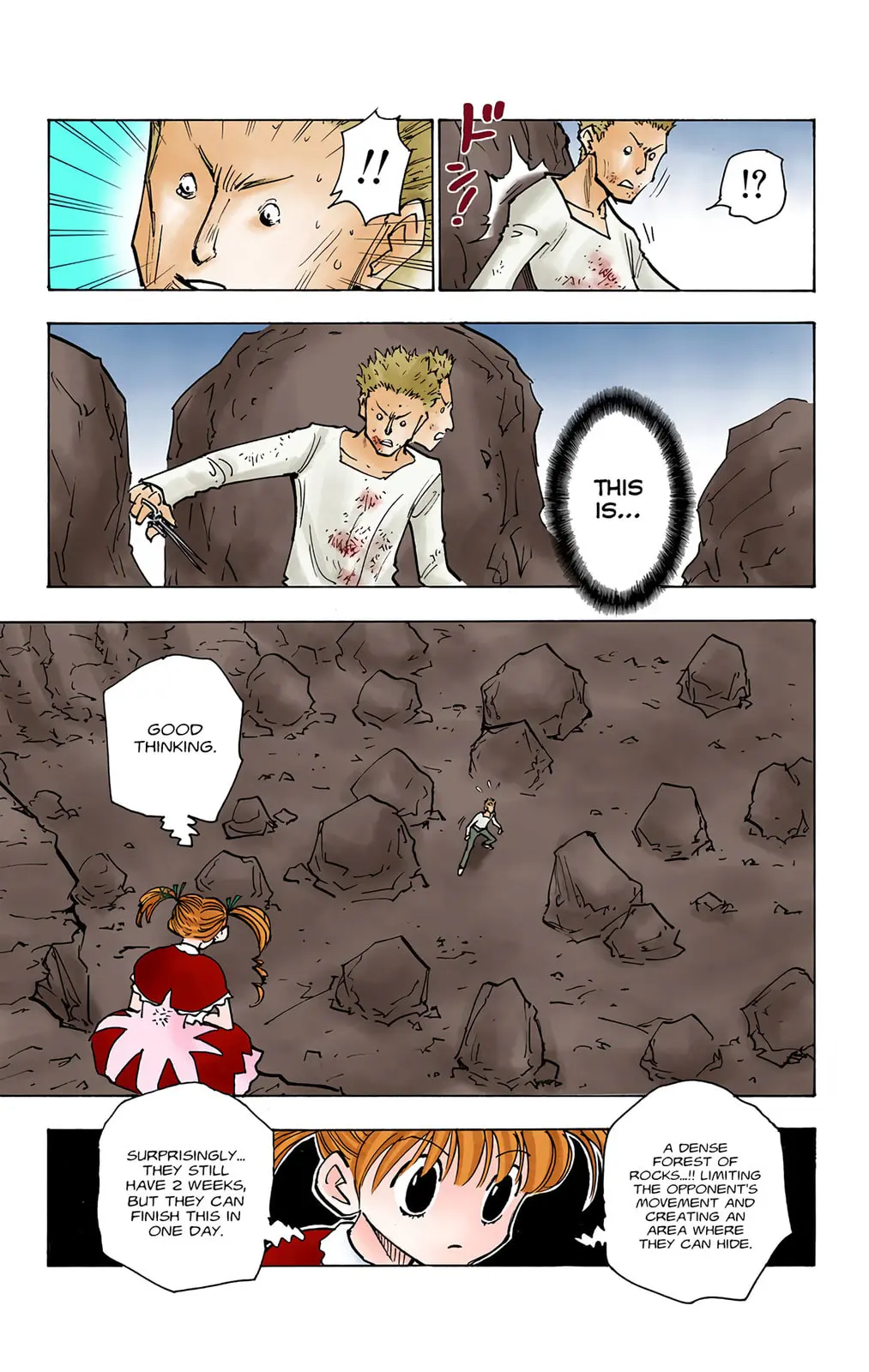 Hunter x Hunter Colored Manga, chapter 139, page 6