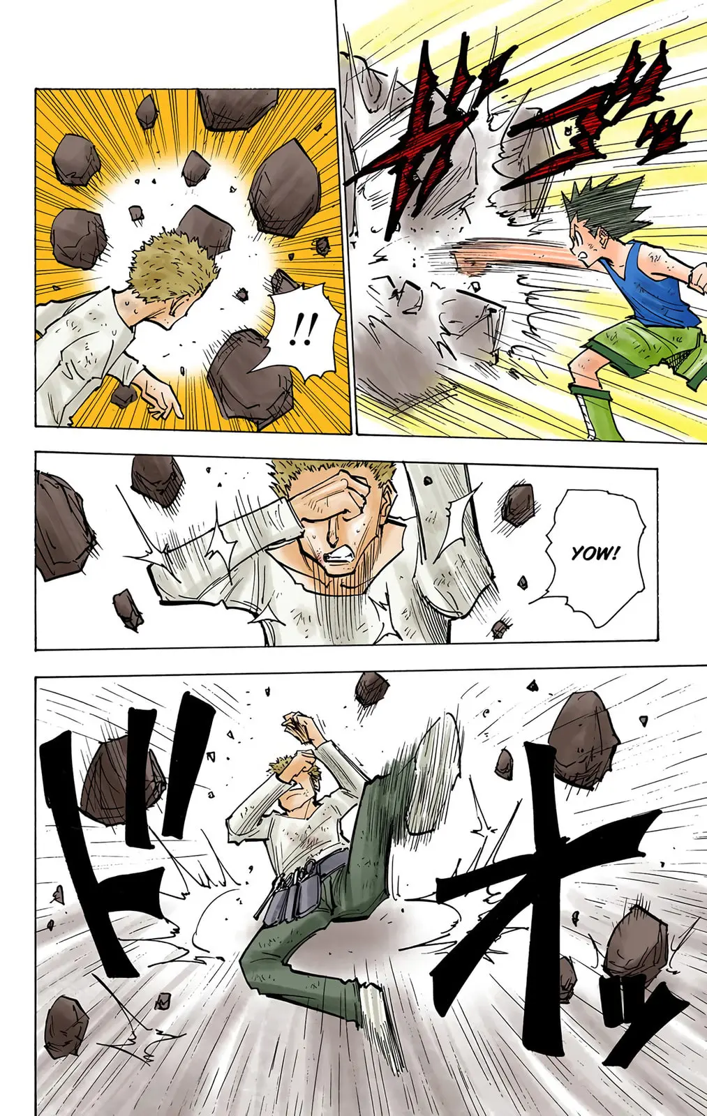 Hunter x Hunter Colored Manga, chapter 139, page 8