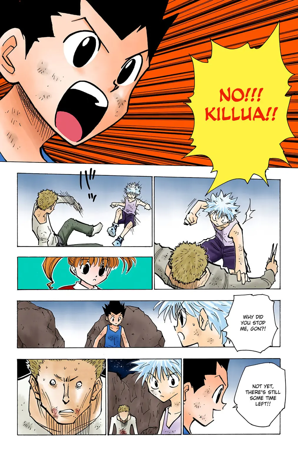Hunter x Hunter Colored Manga, chapter 139, page 10