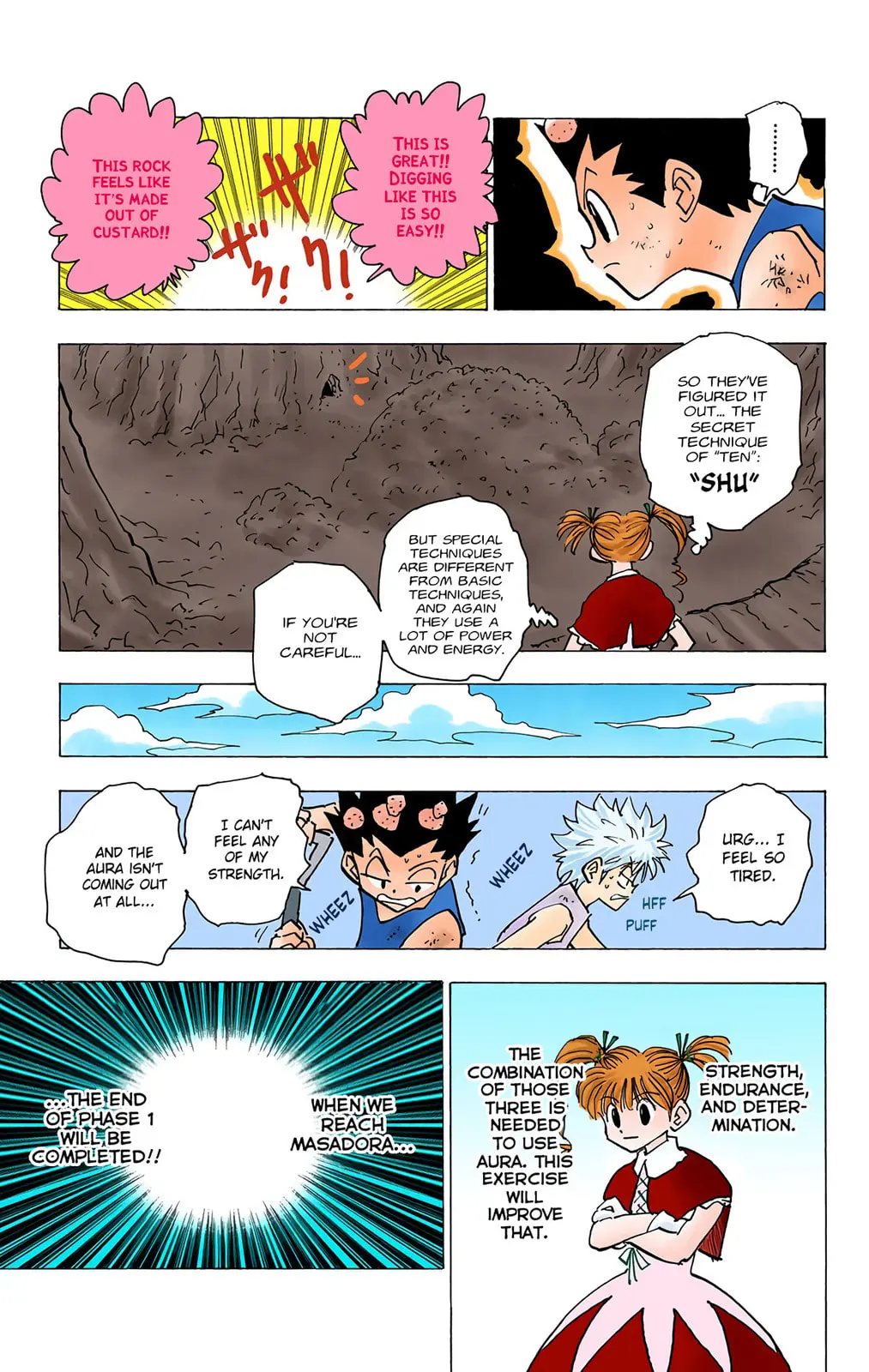 Hunter x Hunter Colored Manga, chapter 140, page 19