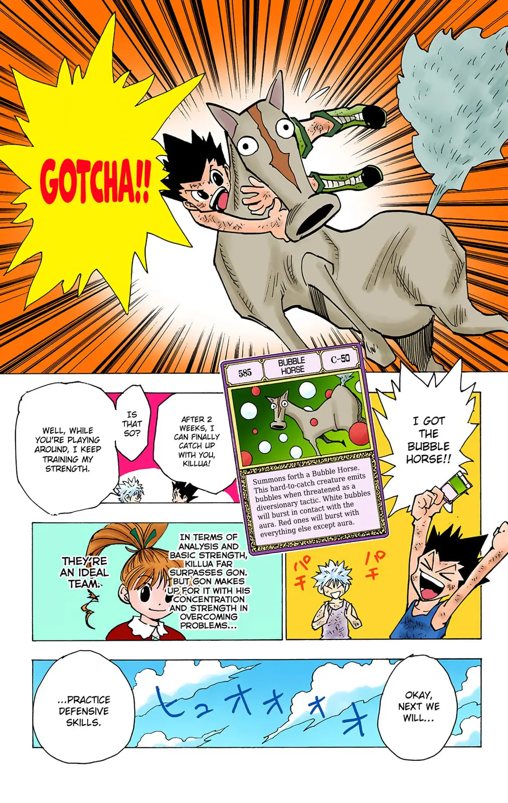 Hunter x Hunter Colored Manga, chapter 141, page 9