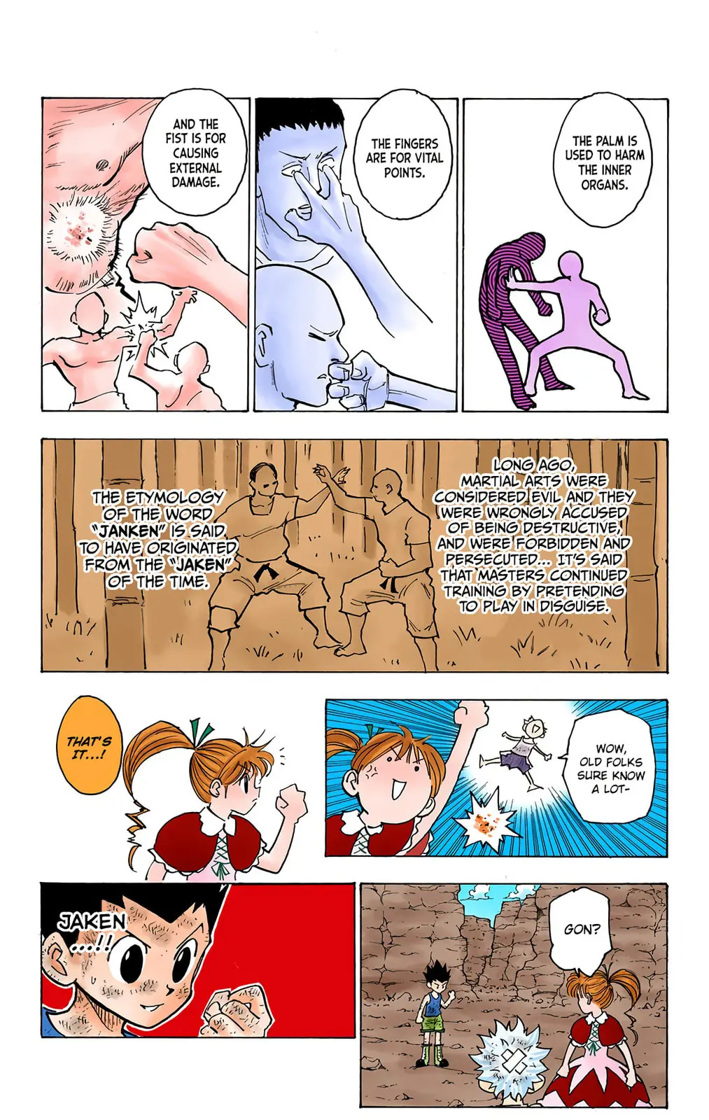 Hunter x Hunter Colored Manga, chapter 145, page 5