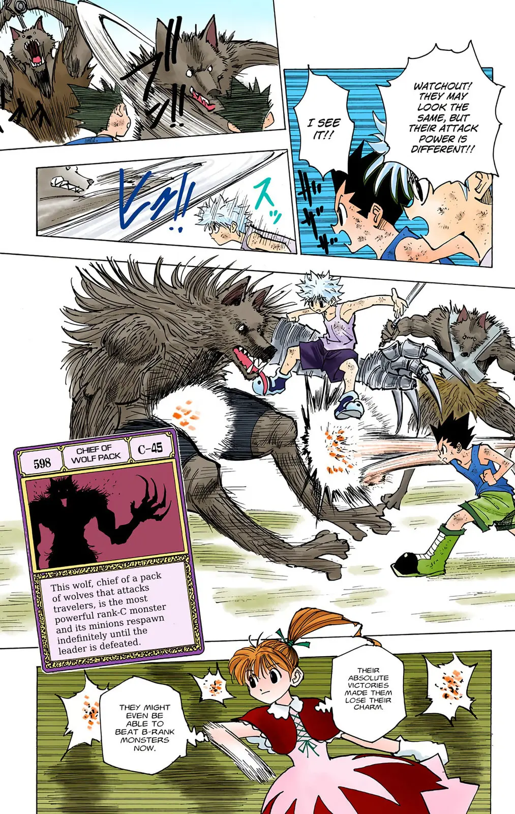 Hunter x Hunter Colored Manga, chapter 146, page 9