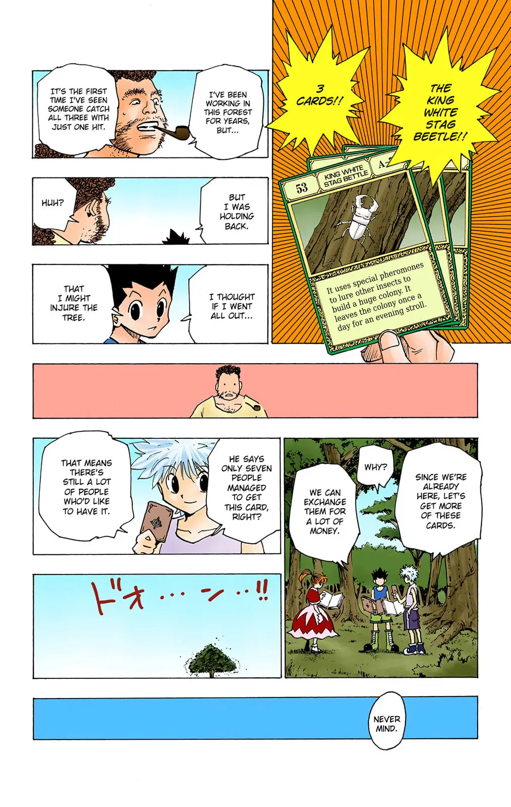 Hunter x Hunter Colored Manga, chapter 150, page 10