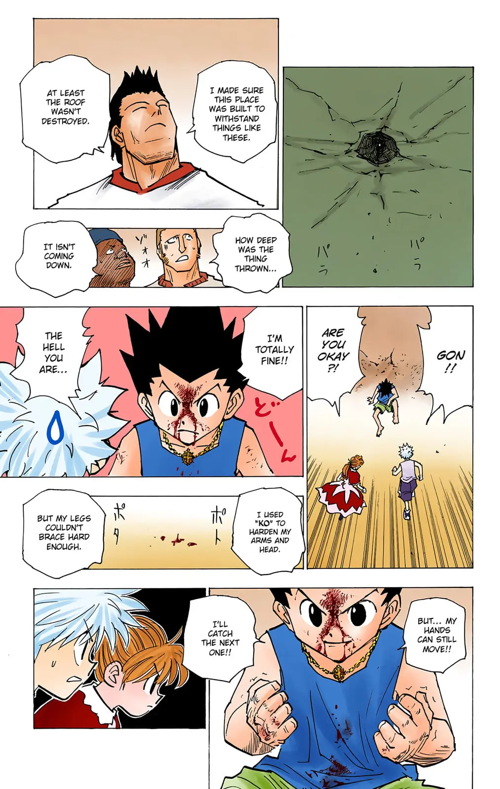 Hunter x Hunter Colored Manga, chapter 163, page 11
