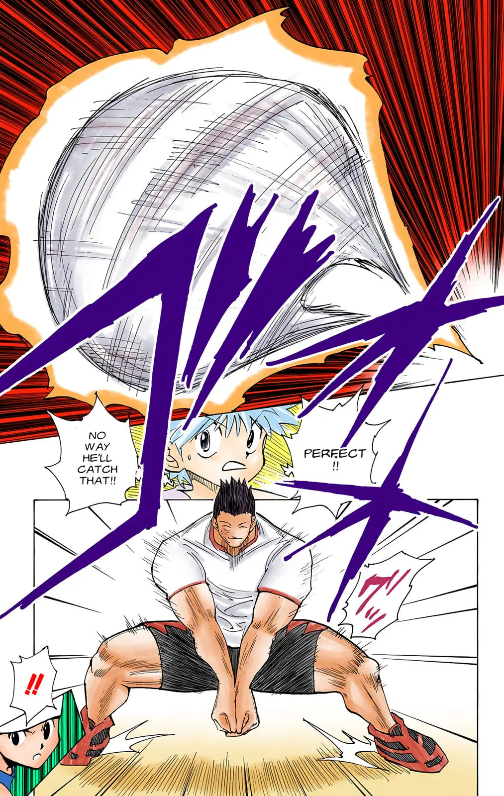Hunter x Hunter Colored Manga, chapter 165, page 9