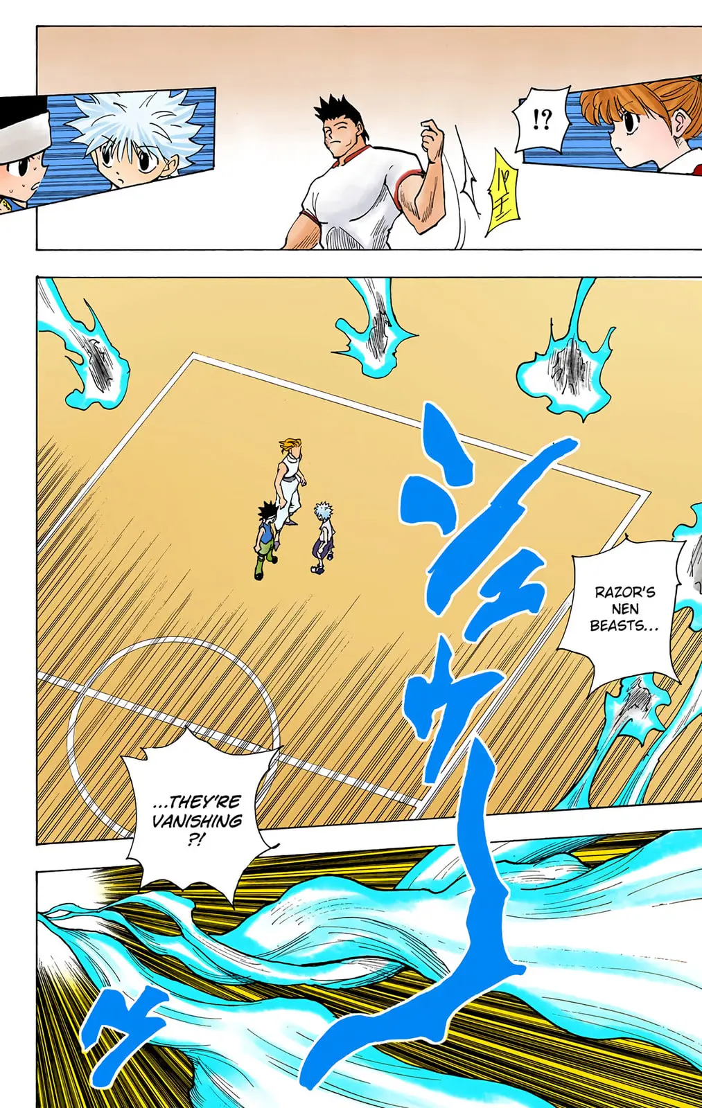 Hunter x Hunter Colored Manga, chapter 166, page 12