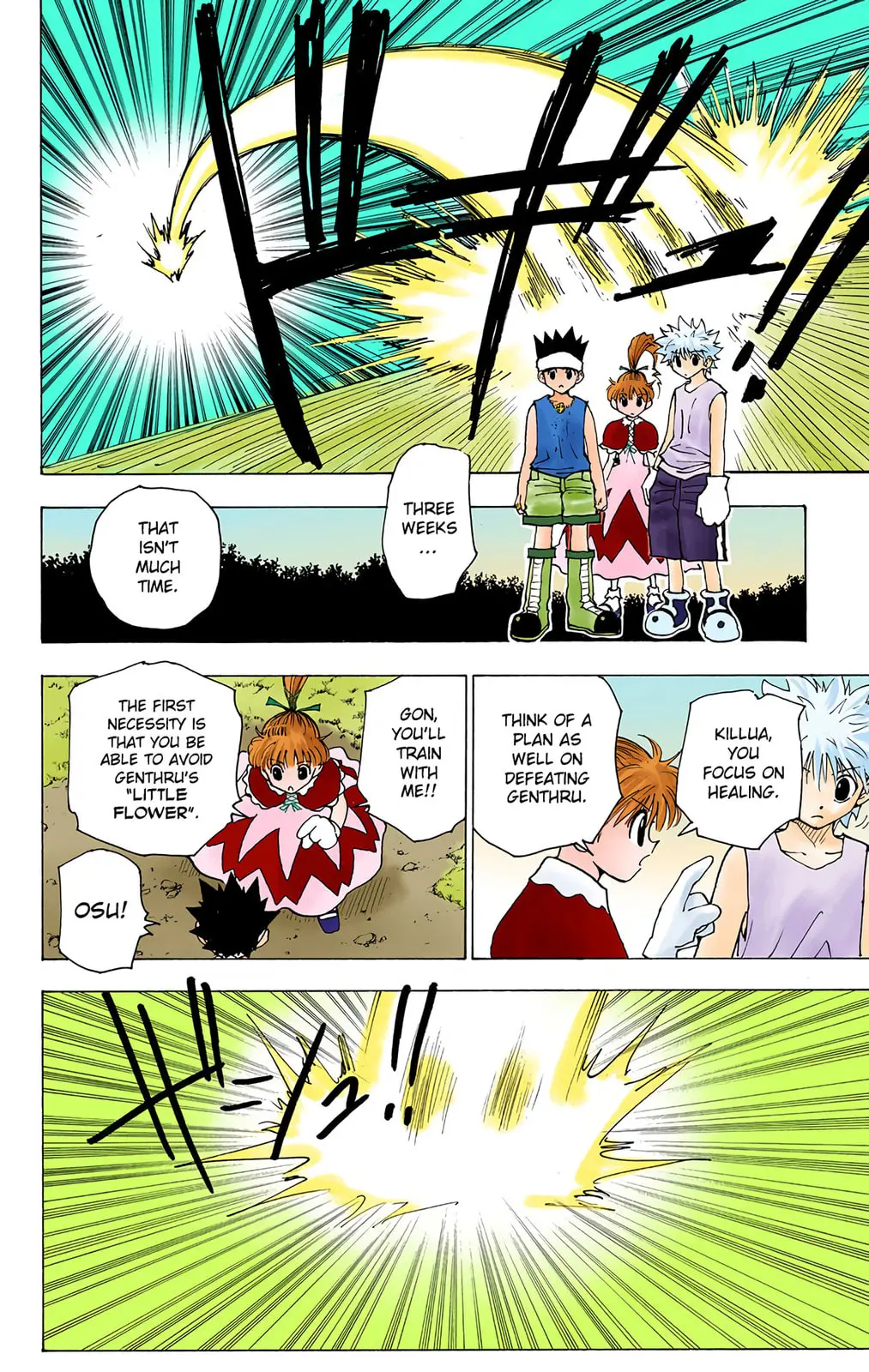 Hunter x Hunter Colored Manga, chapter 170, page 8