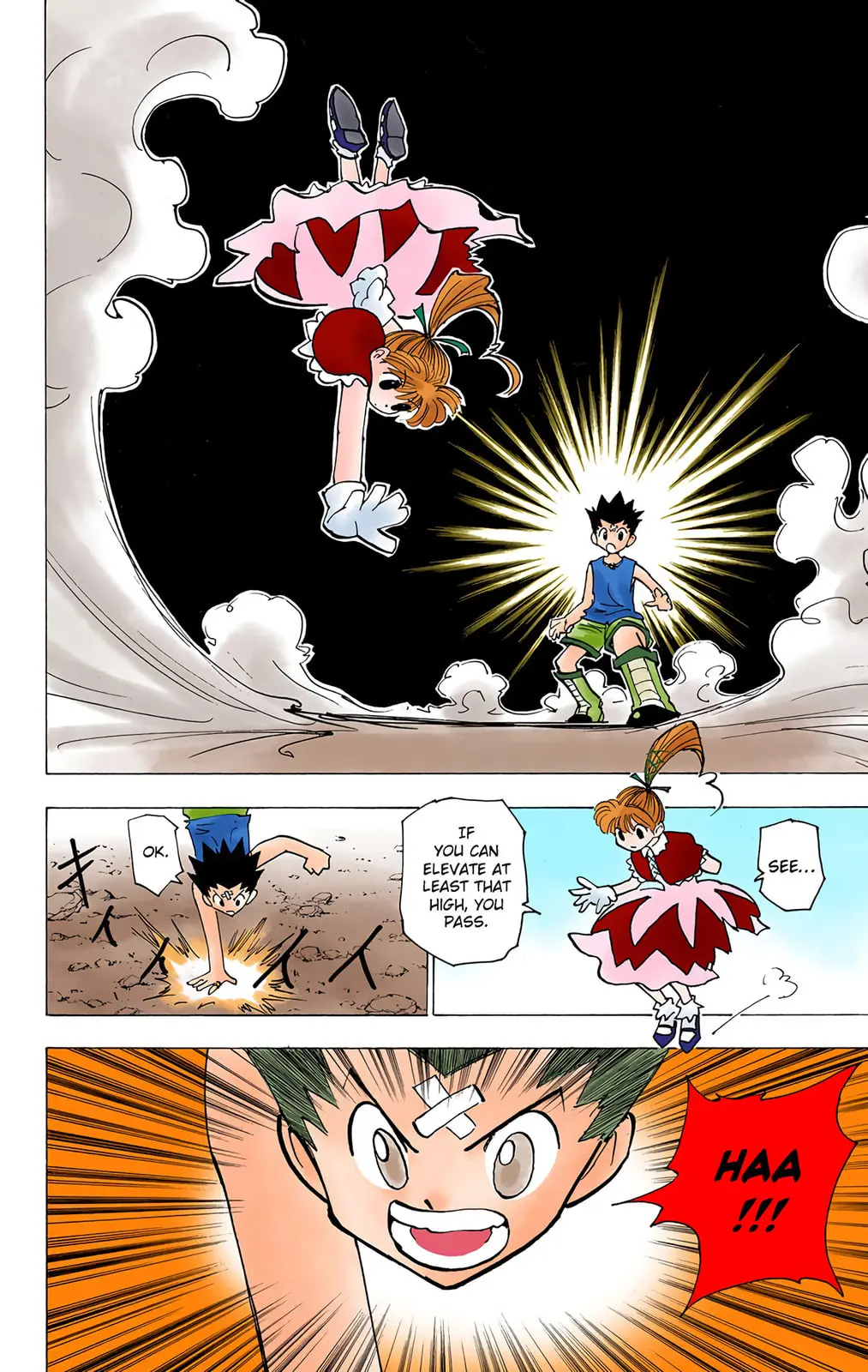 Hunter x Hunter Colored Manga, chapter 171, page 8
