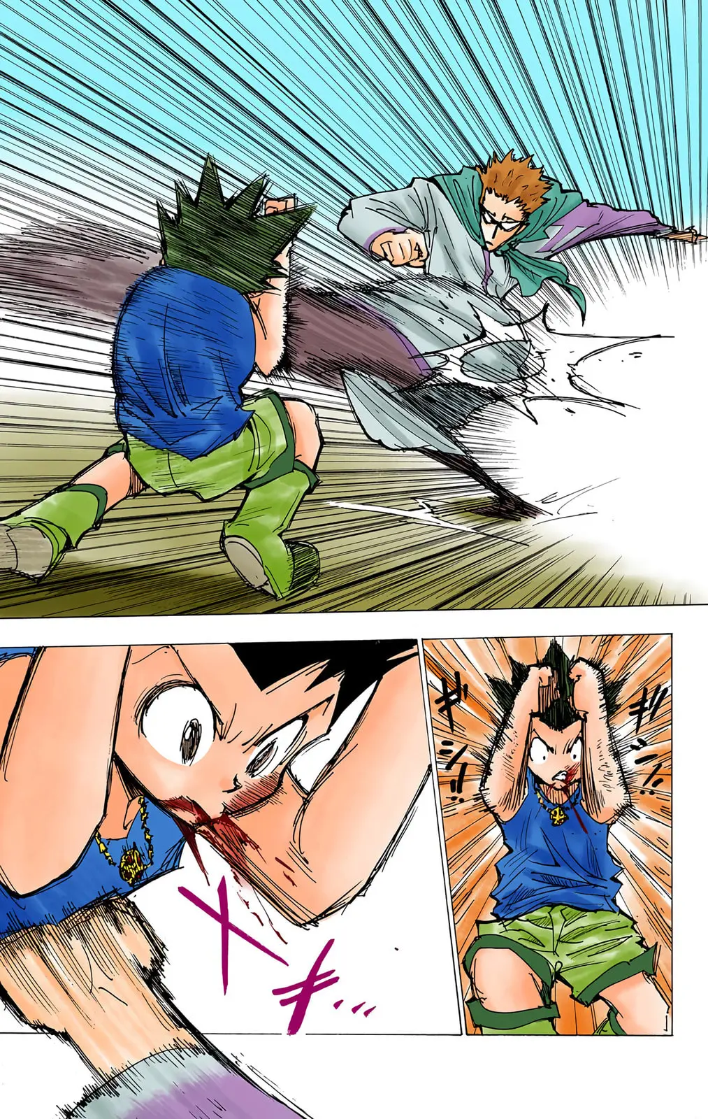 Hunter x Hunter Colored Manga, chapter 176, page 18