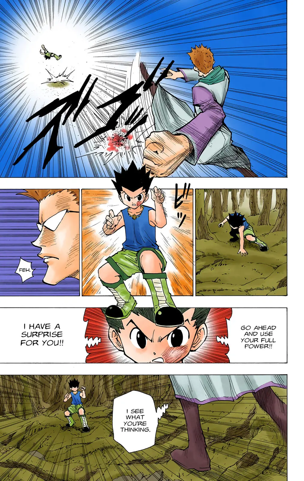 Hunter x Hunter Colored Manga, chapter 177, page 3