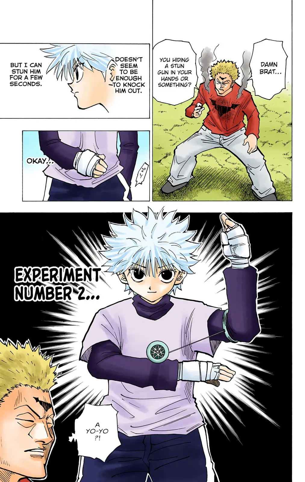 Hunter x Hunter Colored Manga, chapter 178, page 5