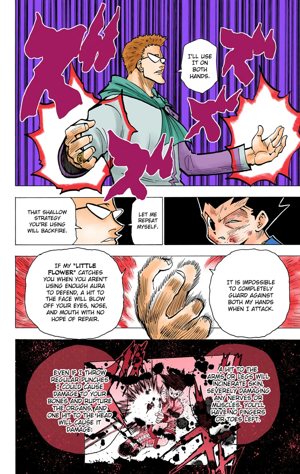 Hunter x Hunter Colored Manga, chapter 179, page 12