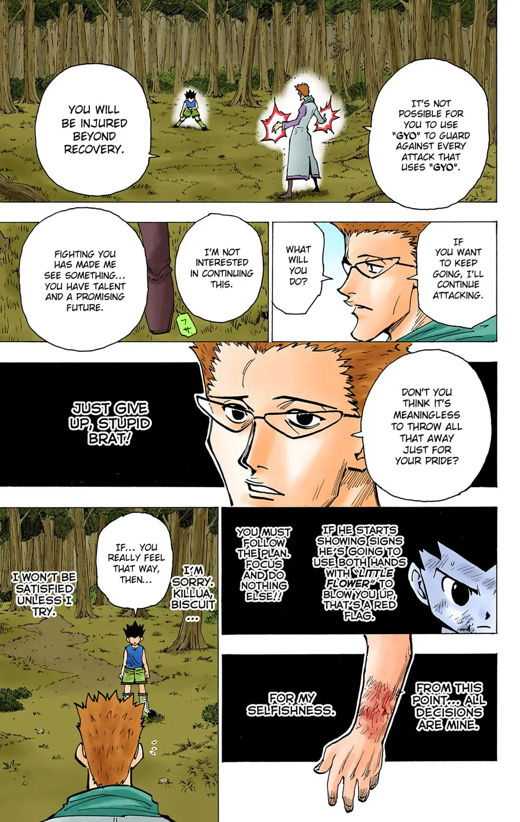 Hunter x Hunter Colored Manga, chapter 179, page 13