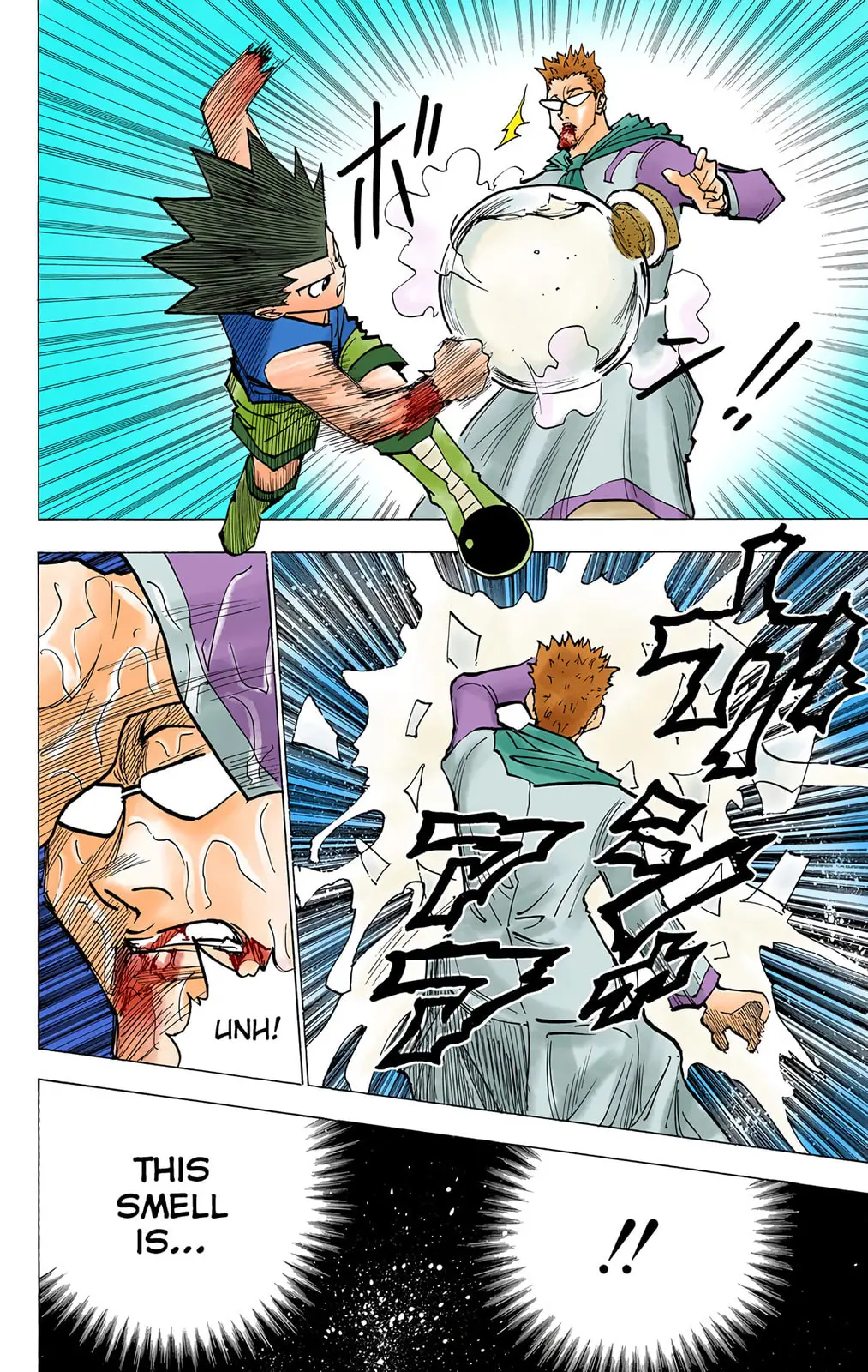 Hunter x Hunter Colored Manga, chapter 180, page 14