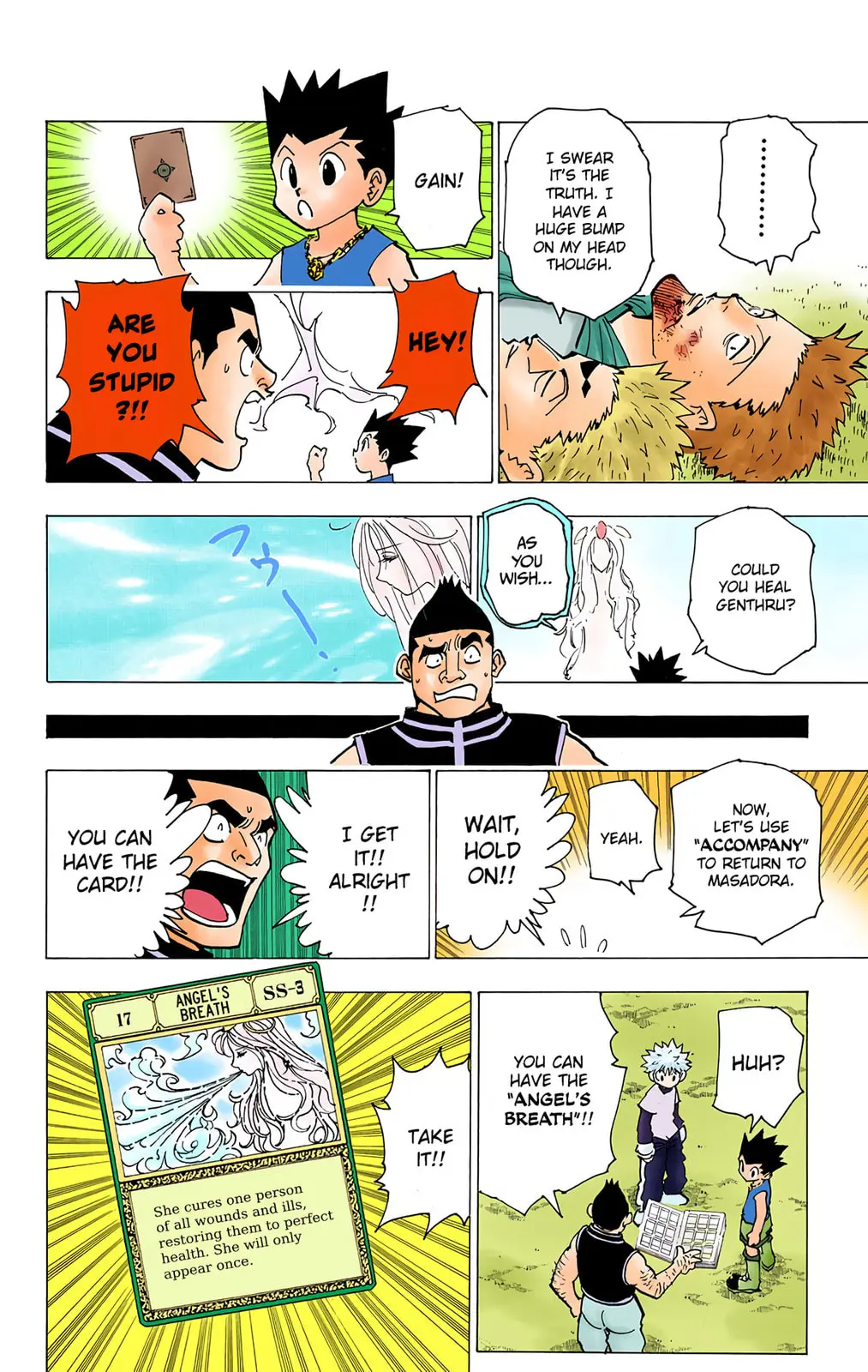 Hunter x Hunter Colored Manga, chapter 182, page 8