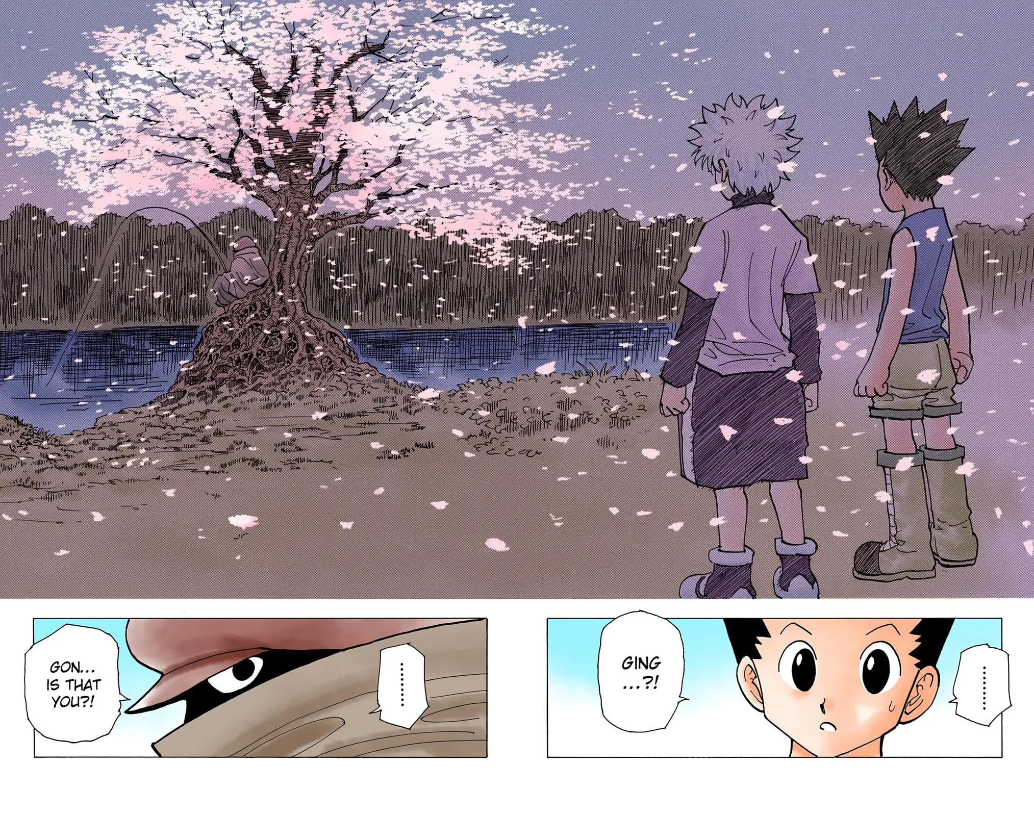 Hunter x Hunter Colored Manga, chapter 185, page 10