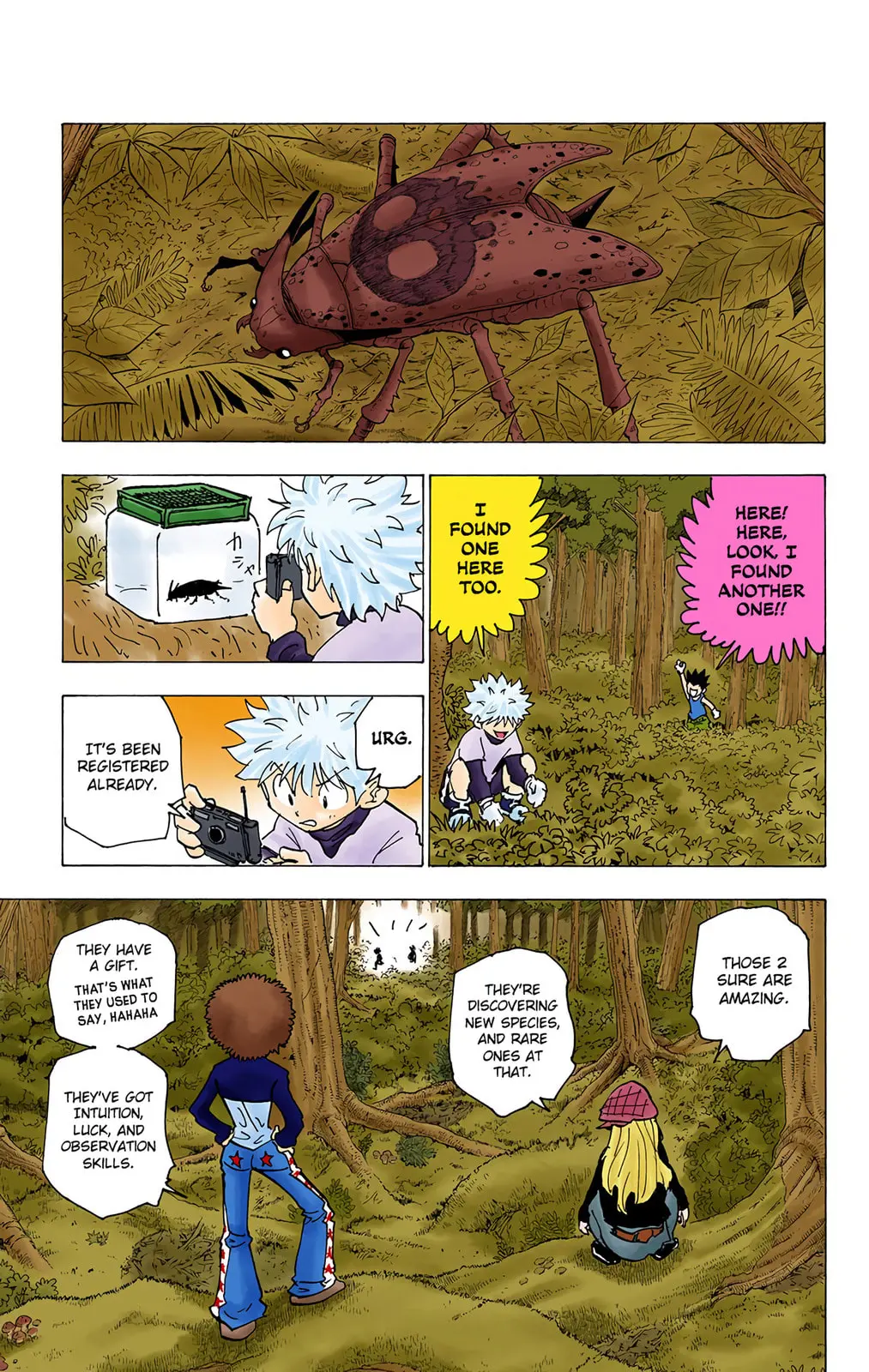 Hunter x Hunter Colored Manga, chapter 186, page 11