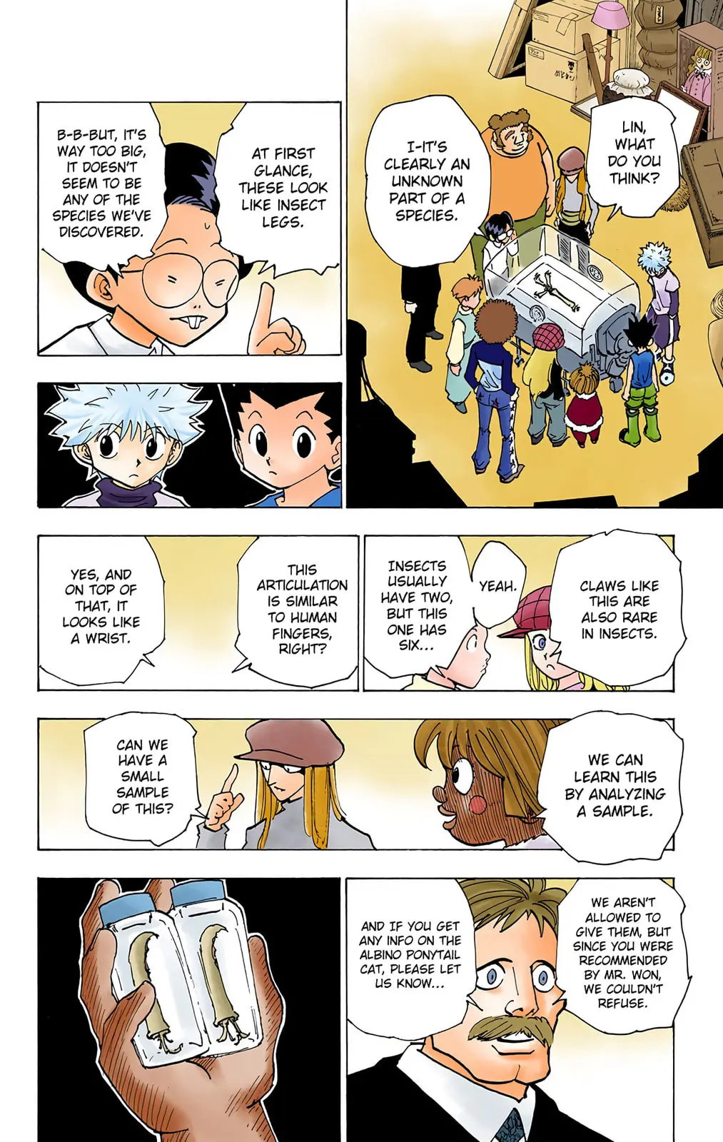 Hunter x Hunter Colored Manga, chapter 187, page 6