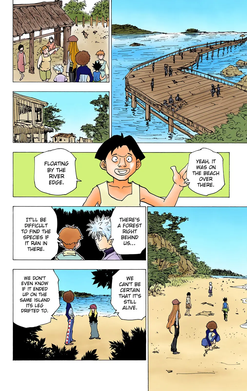 Hunter x Hunter Colored Manga, chapter 187, page 8