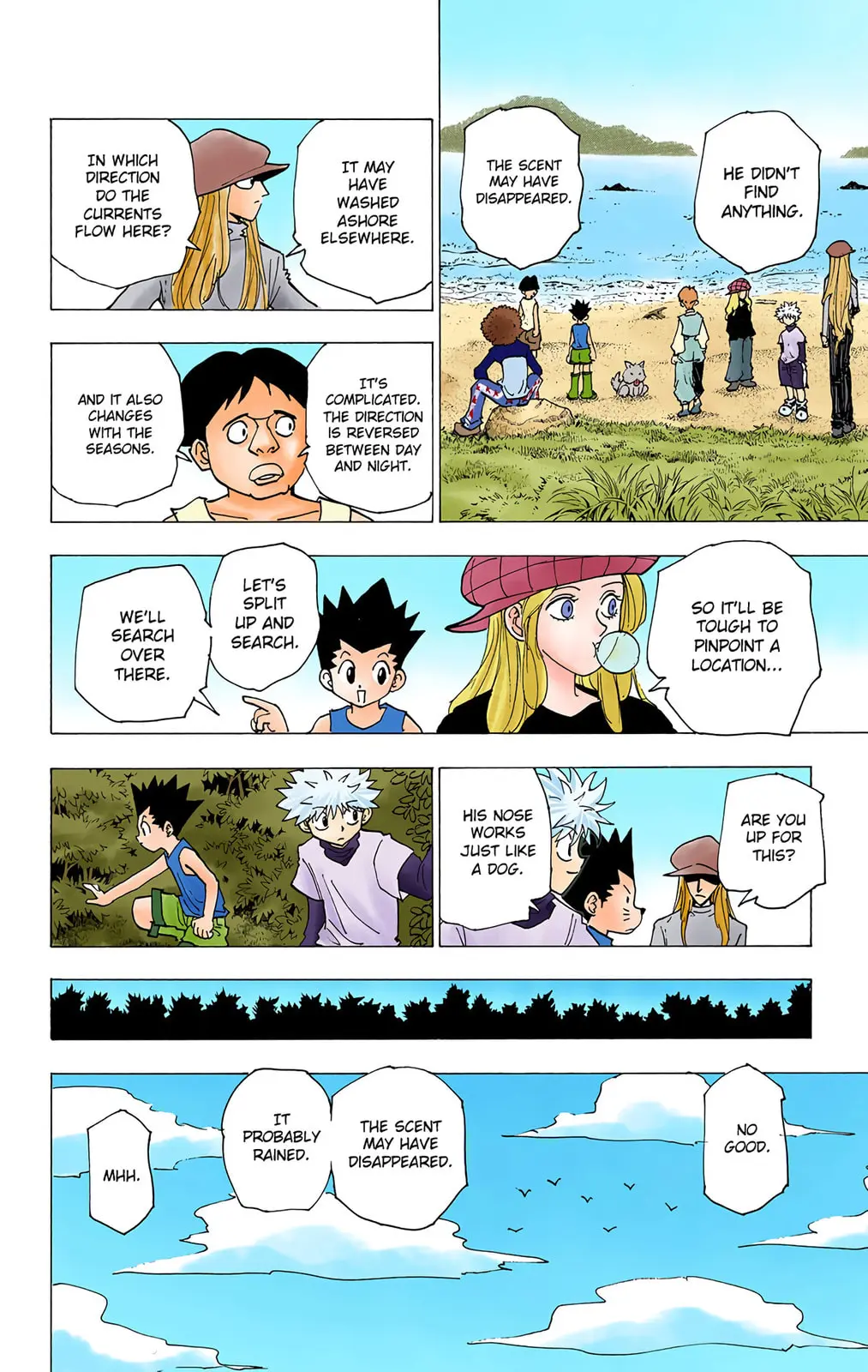 Hunter x Hunter Colored Manga, chapter 187, page 10