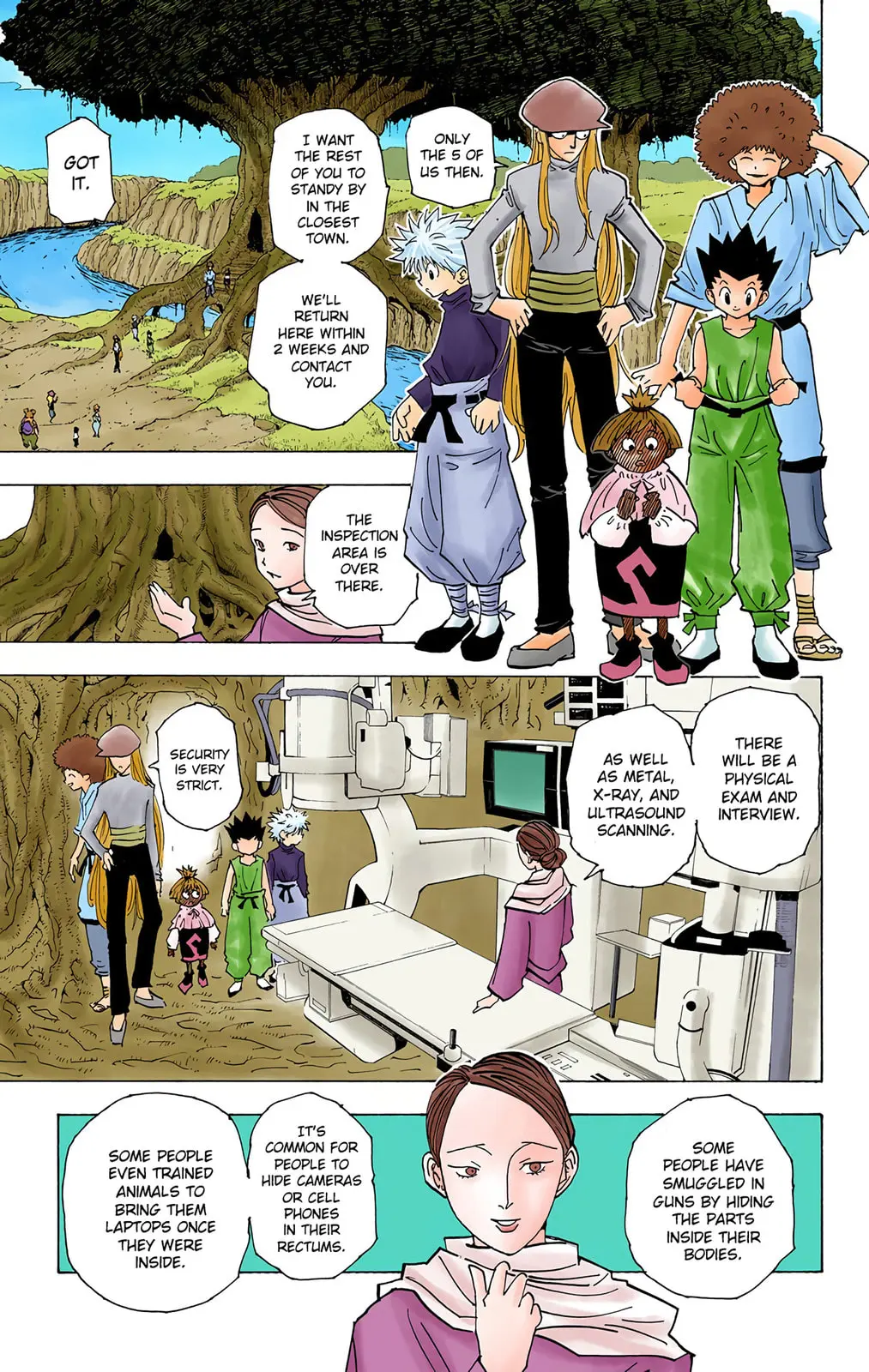 Hunter x Hunter Colored Manga, chapter 189, page 3