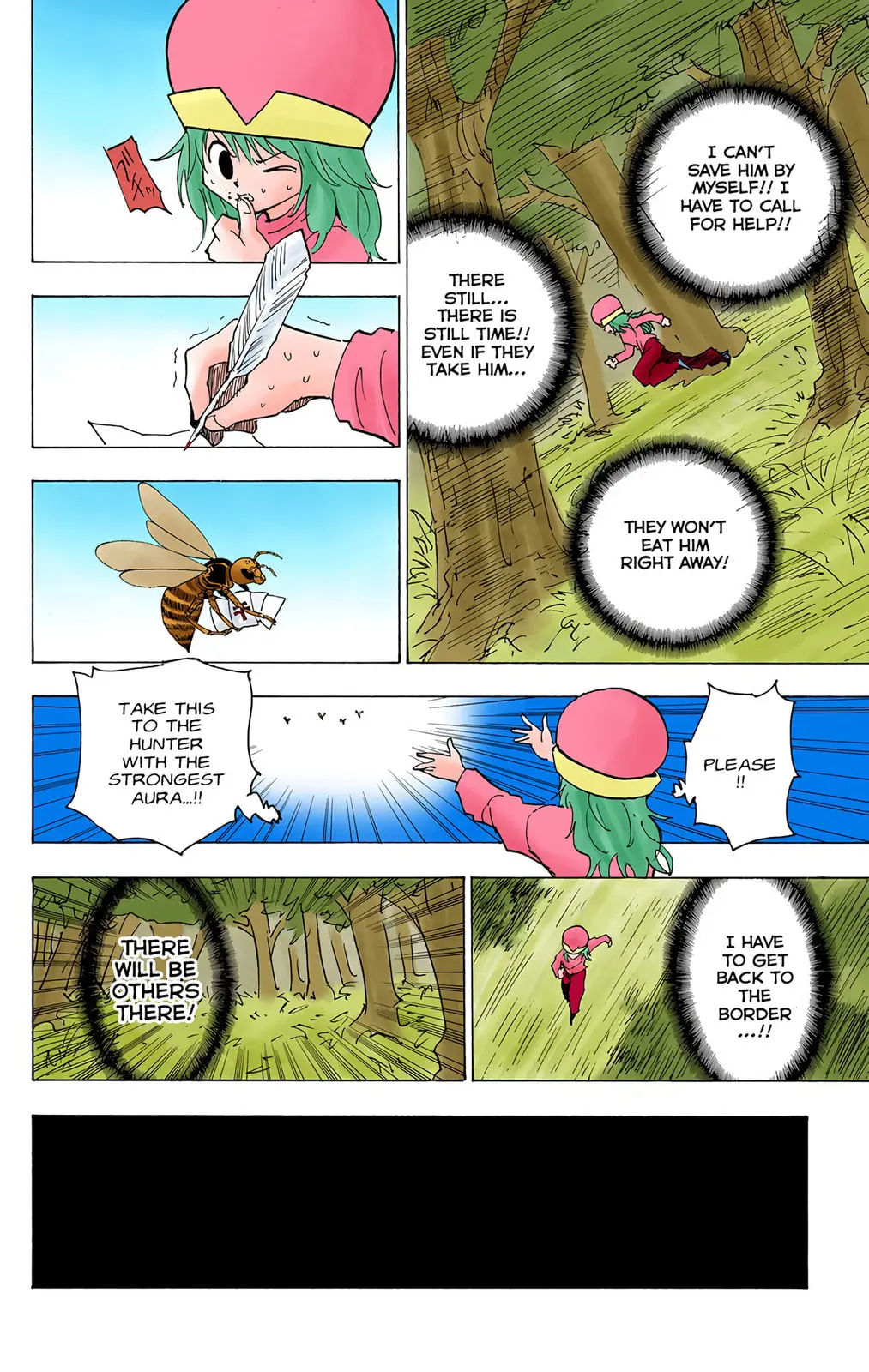 Hunter x Hunter Colored Manga, chapter 190, page 12