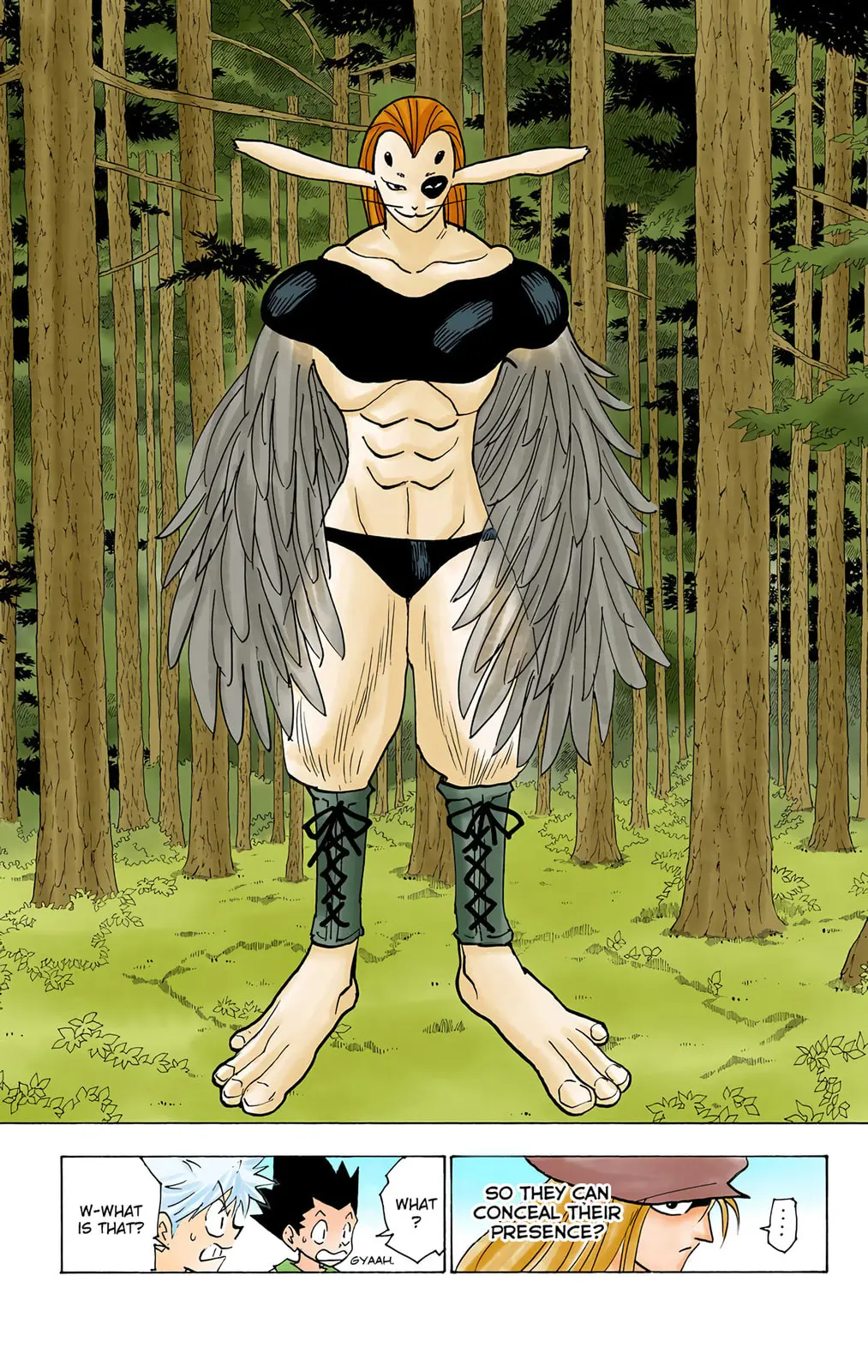 Hunter x Hunter Colored Manga, chapter 191, page 3