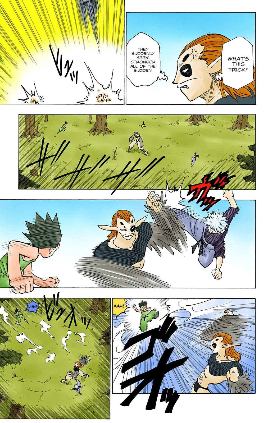 Hunter x Hunter Colored Manga, chapter 191, page 9