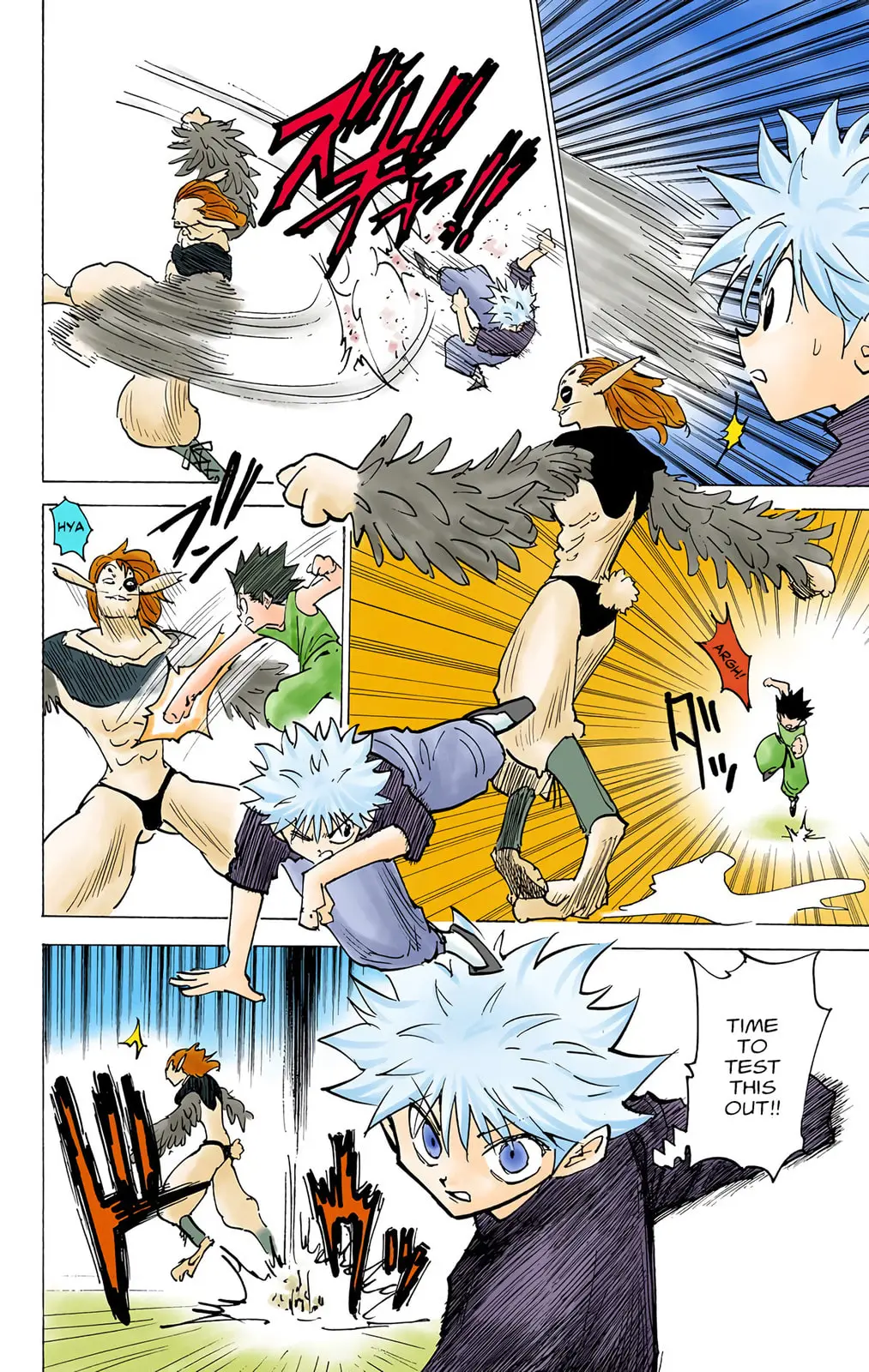 Hunter x Hunter Colored Manga, chapter 191, page 10