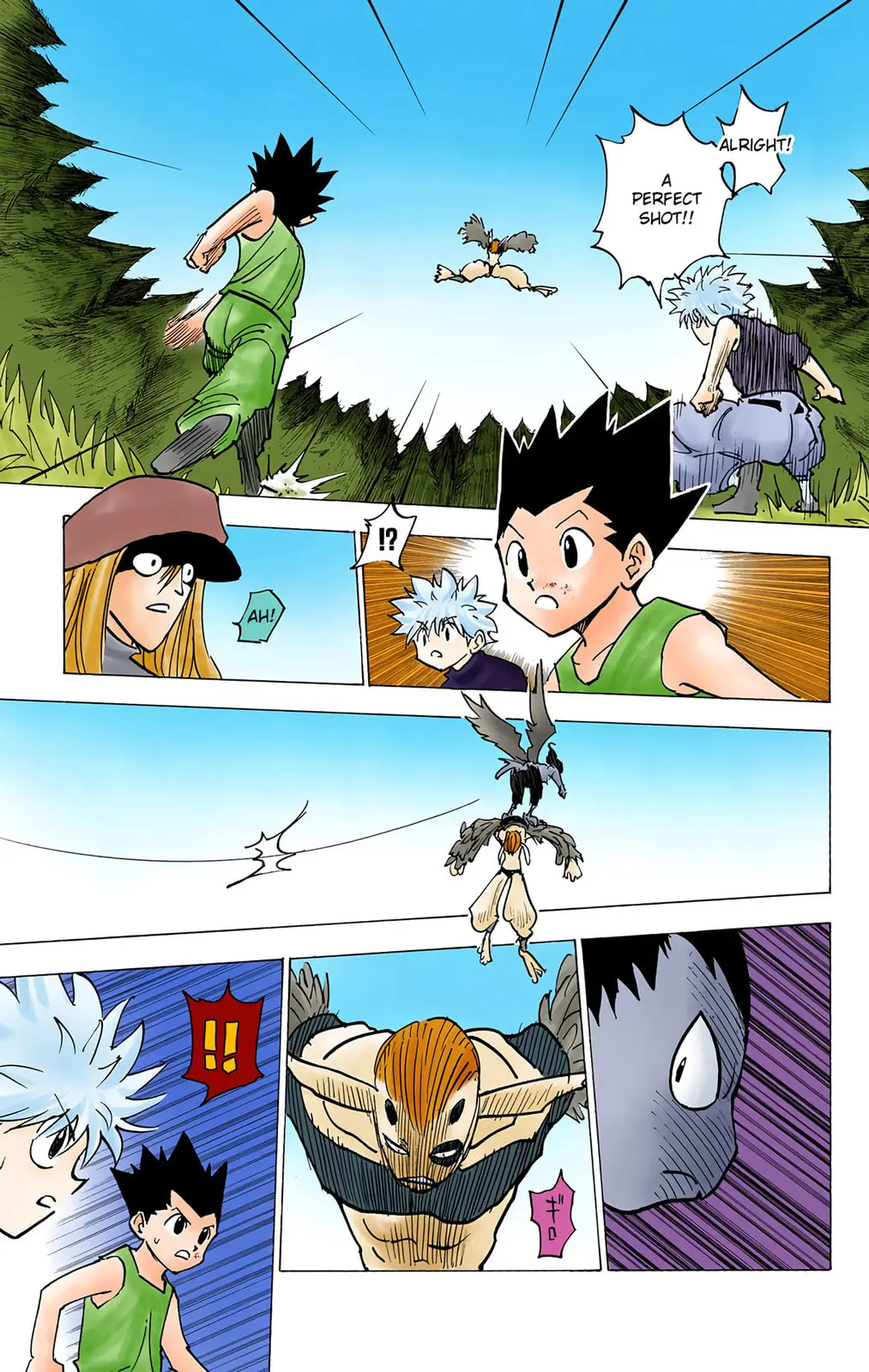 Hunter x Hunter Colored Manga, chapter 191, page 13