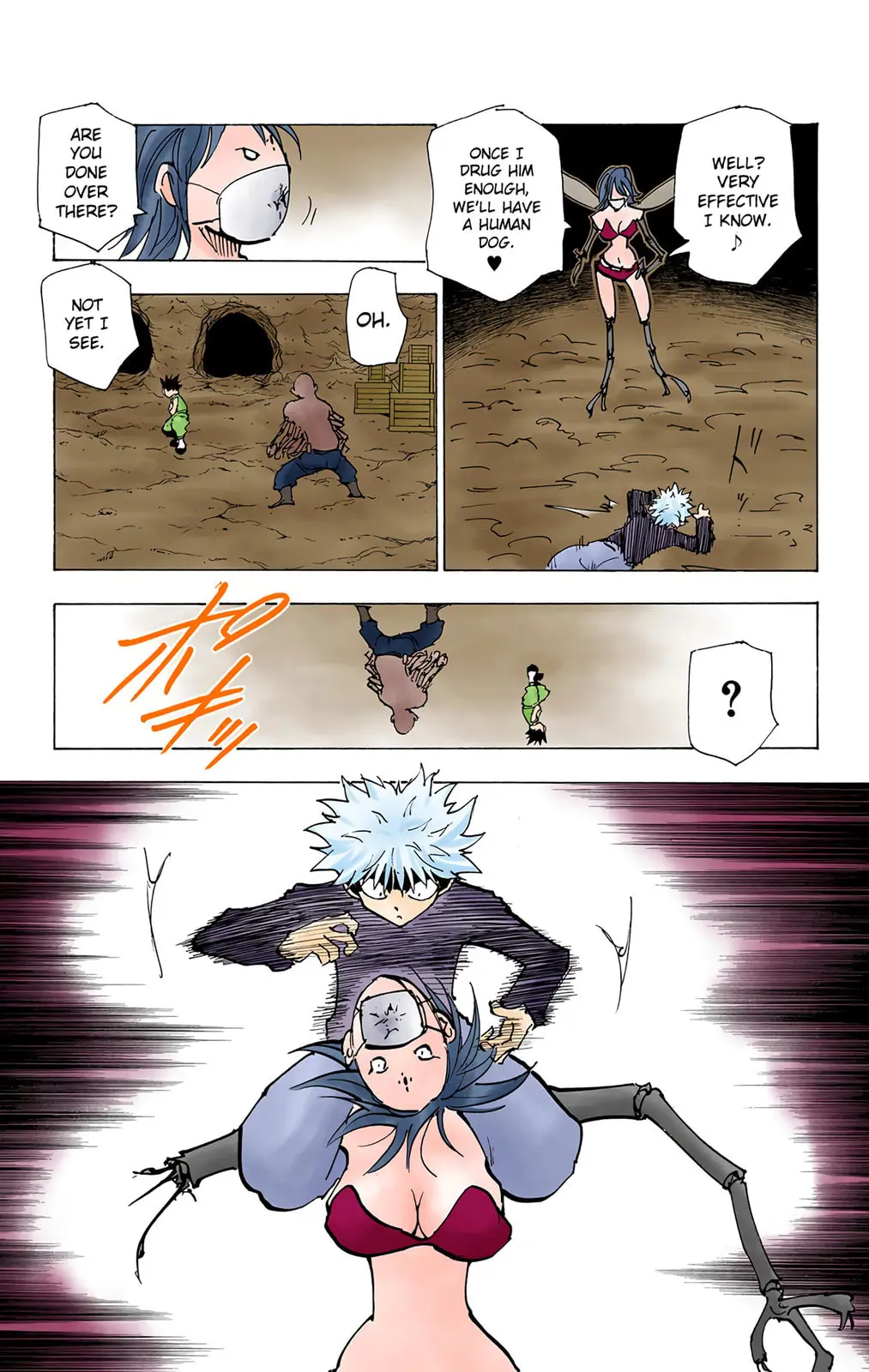 Hunter x Hunter Colored Manga, chapter 193, page 7