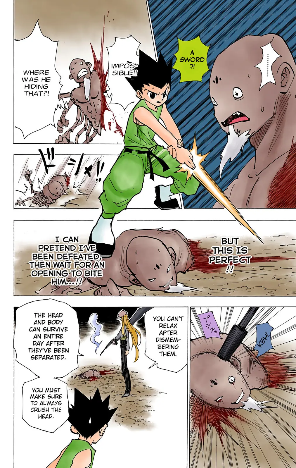 Hunter x Hunter Colored Manga, chapter 193, page 13