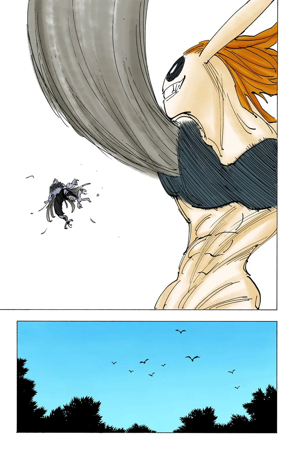 Hunter x Hunter Colored Manga, chapter 194, page 10