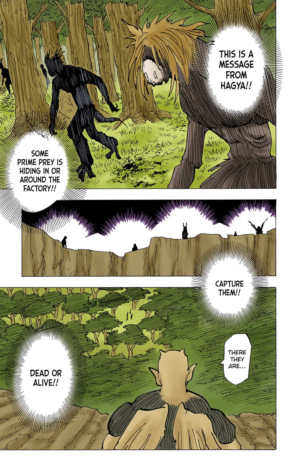 Hunter x Hunter Colored Manga, chapter 194, page 12
