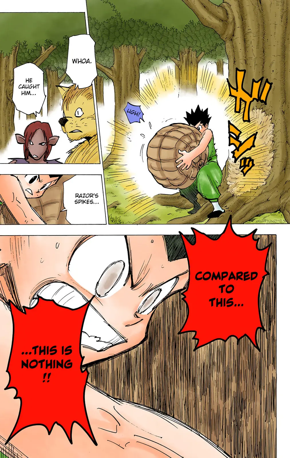 Hunter x Hunter Colored Manga, chapter 195, page 12