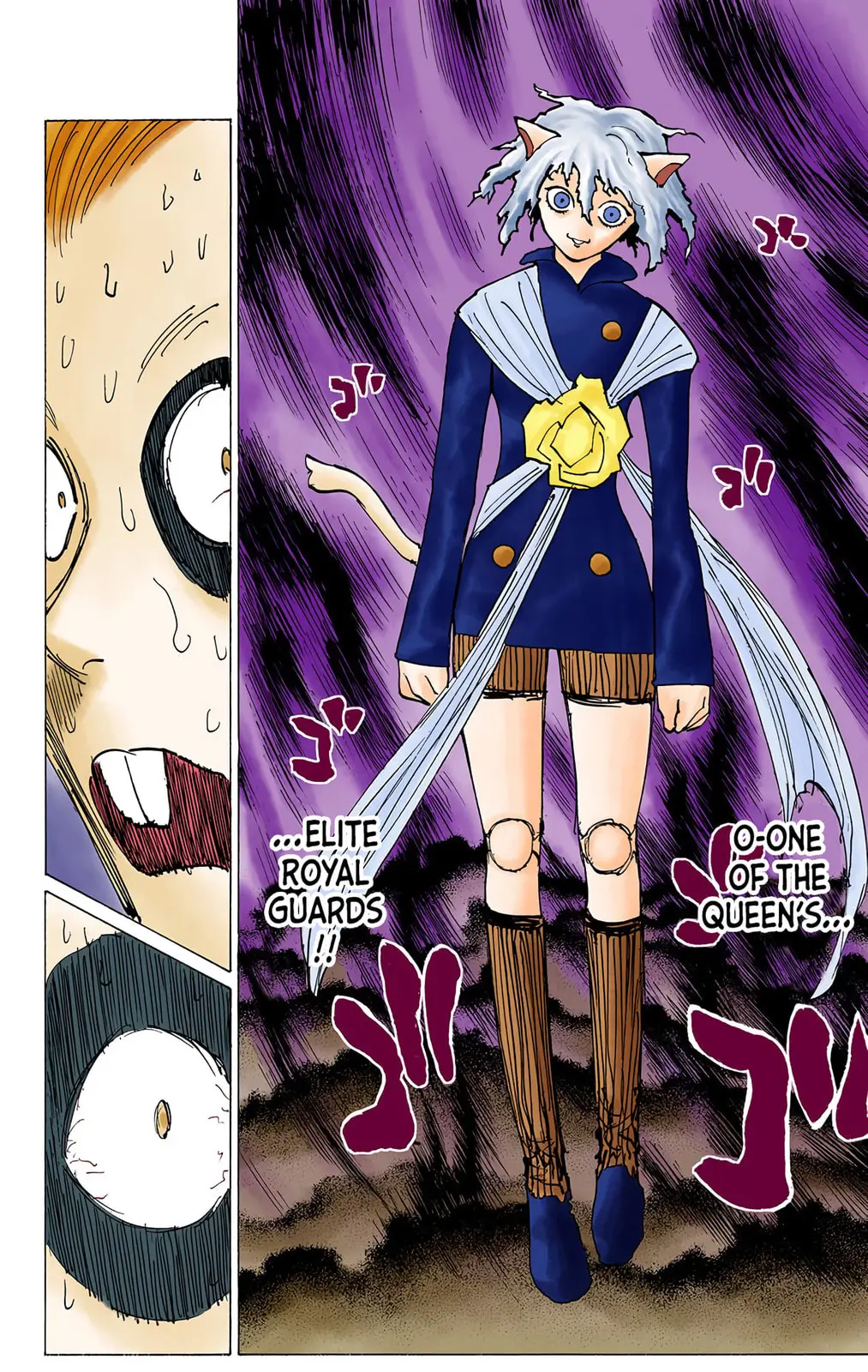 Hunter x Hunter Colored Manga, chapter 197, page 6
