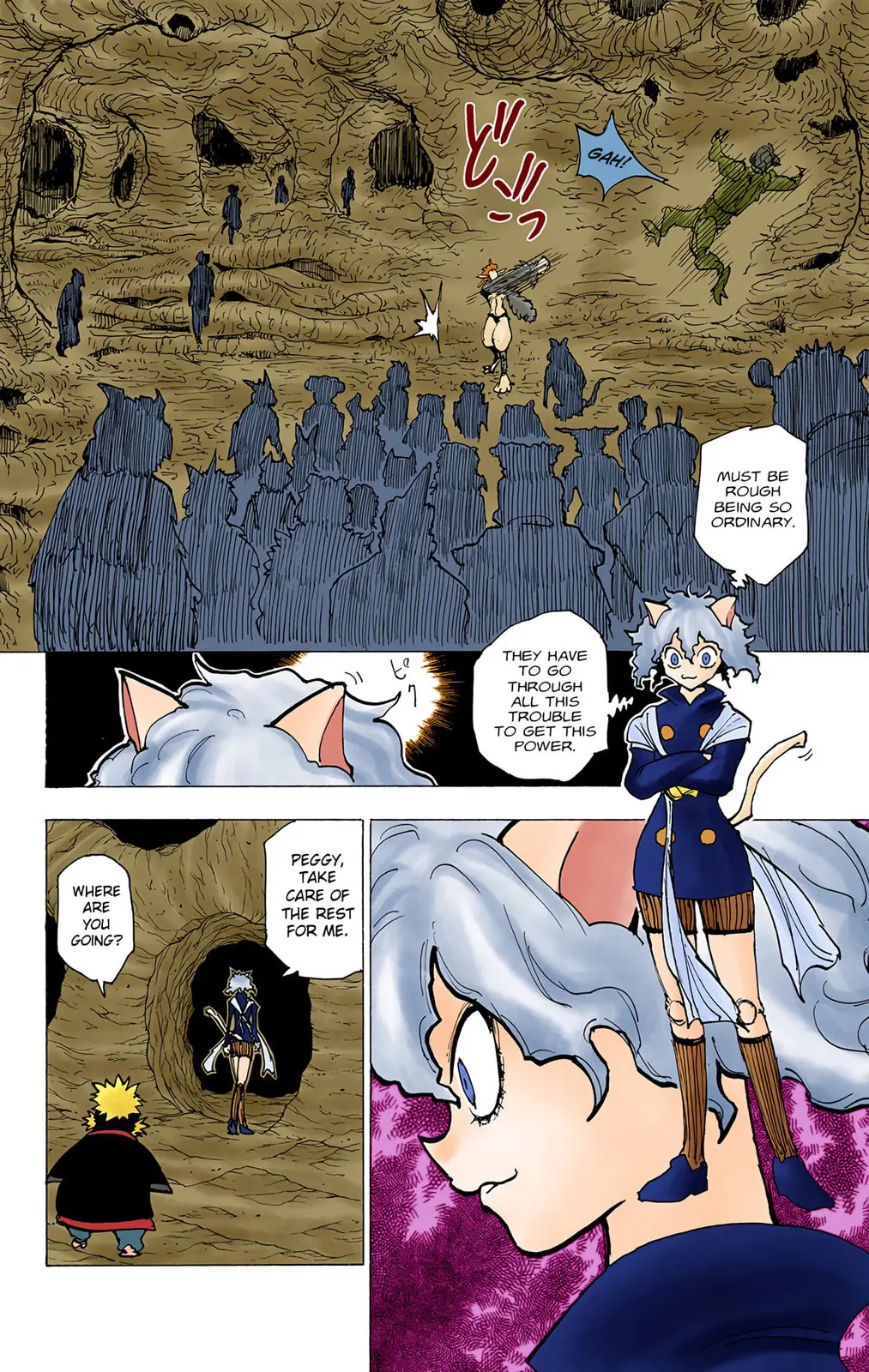 Hunter x Hunter Colored Manga, chapter 198, page 6